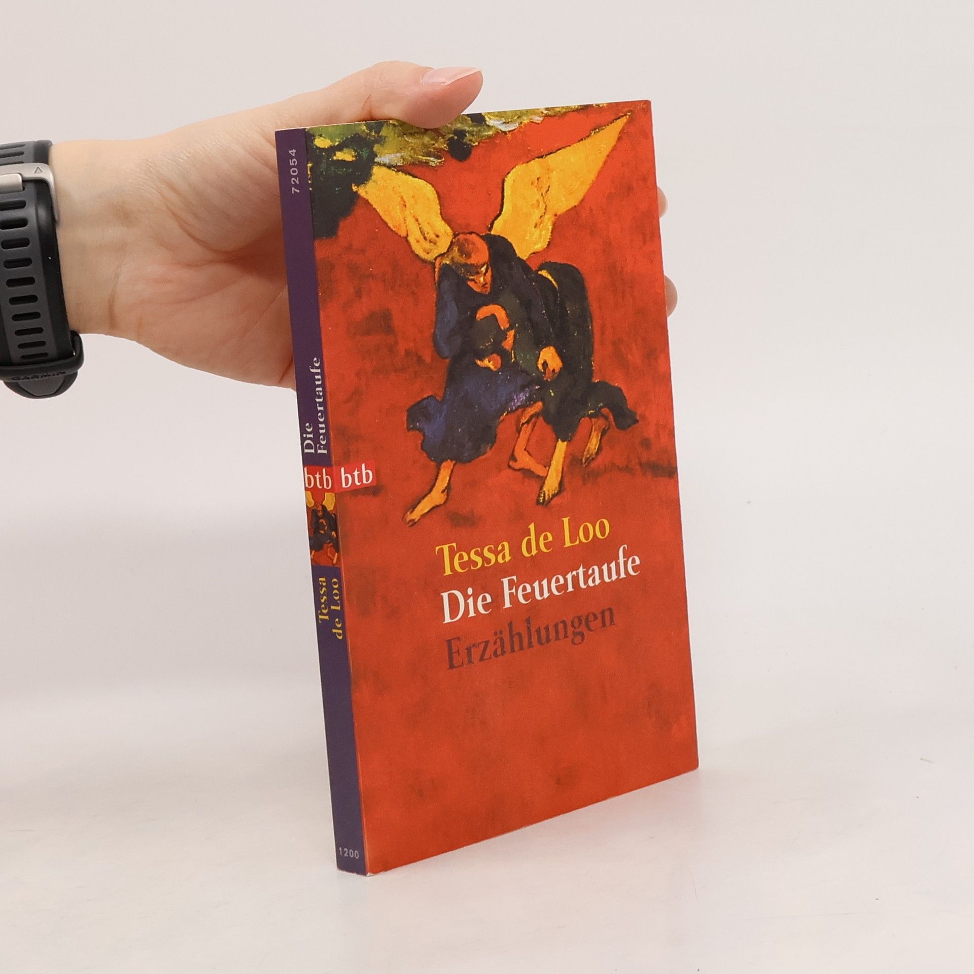 Tessa de Loo Die Feuertaufe. Erzählungen.