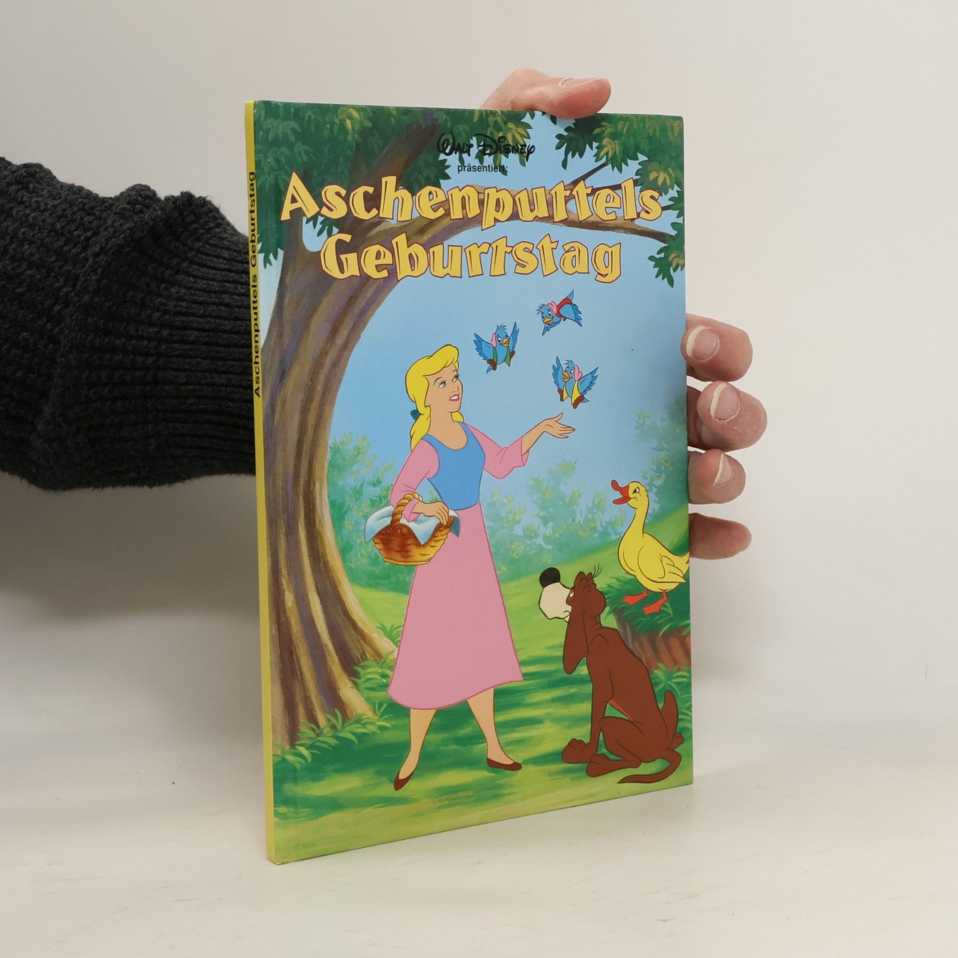 Autorenkollektiv Aschenputtels Geburtstag