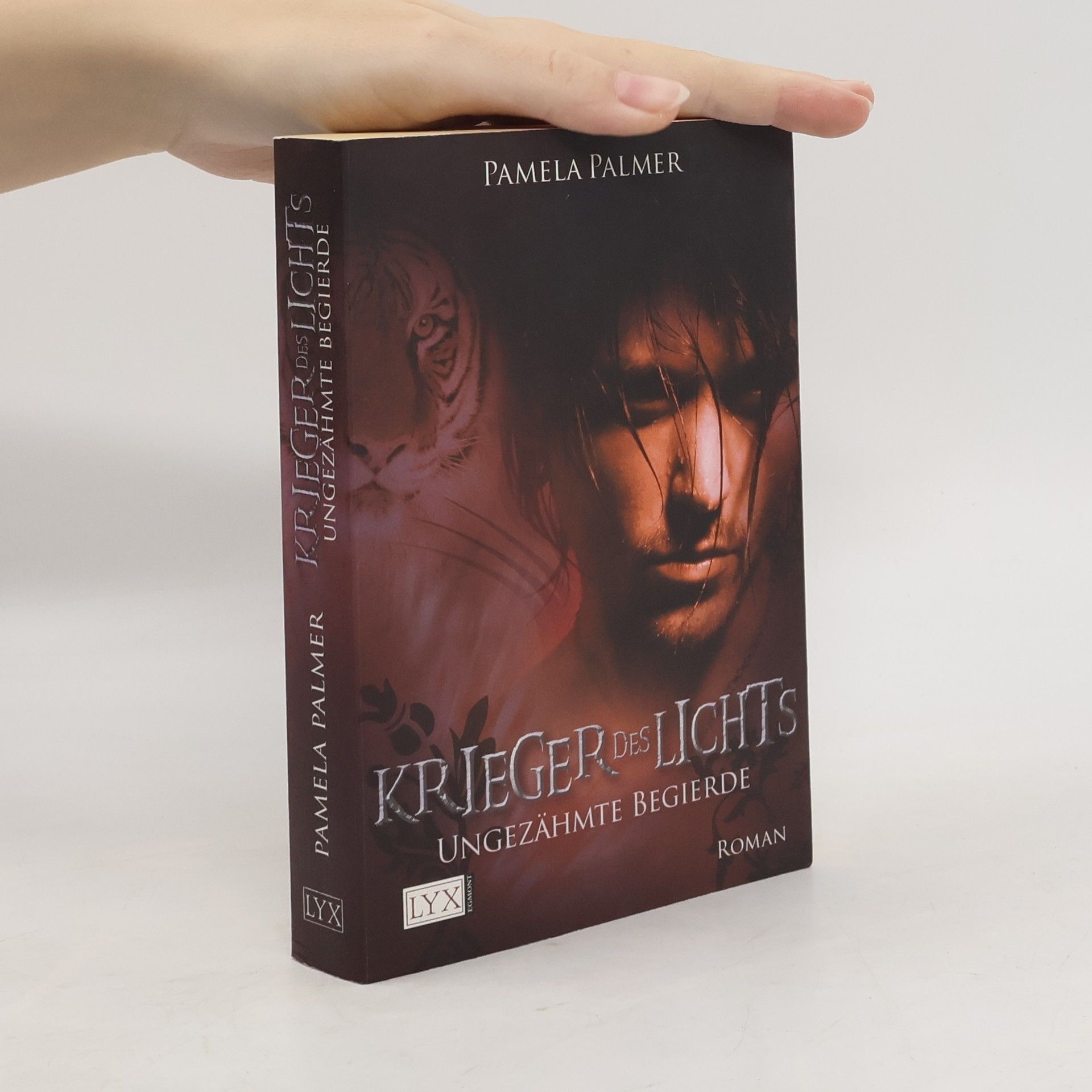Pamela Palmer Krieger des Lichts 2