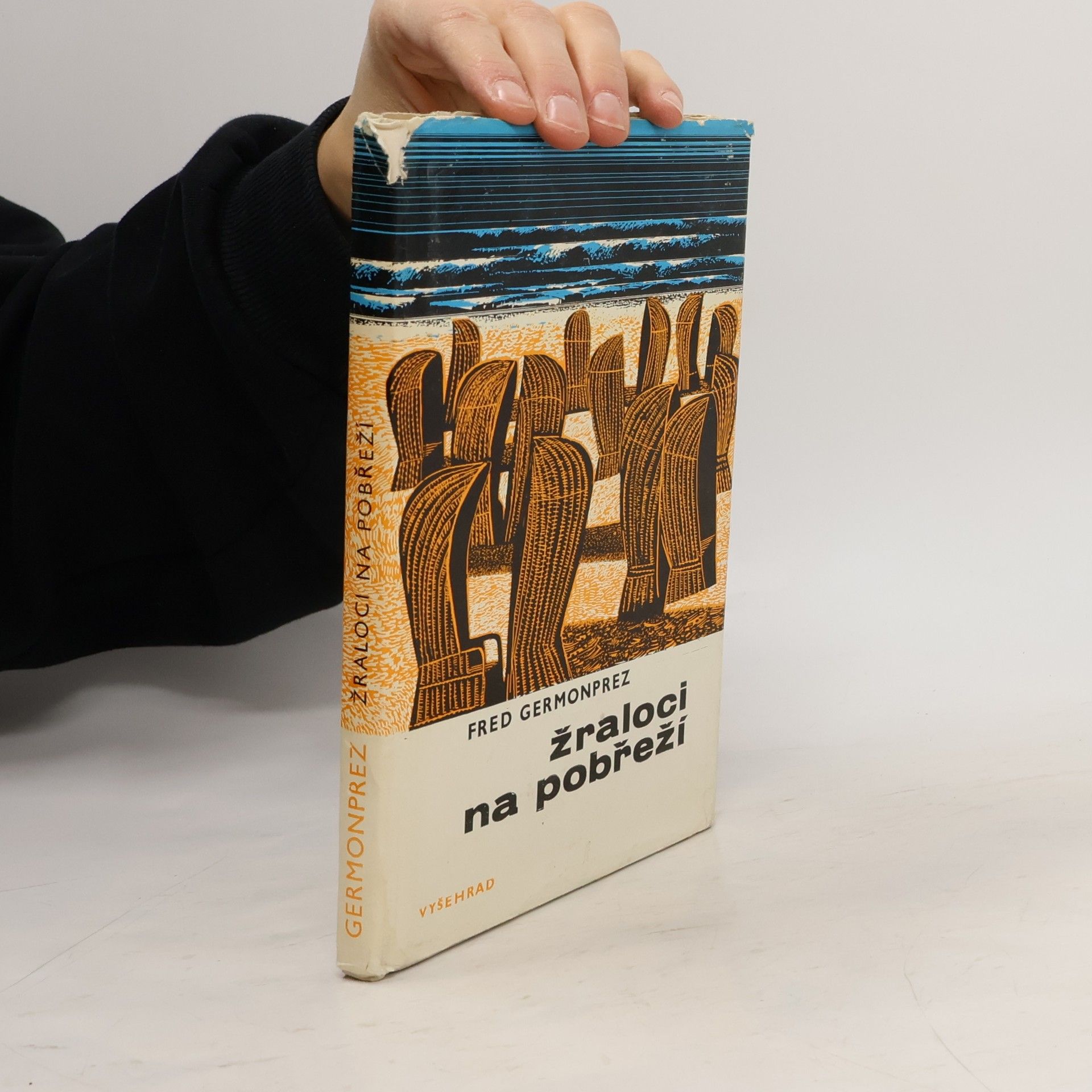 Žraloci na pobřeží