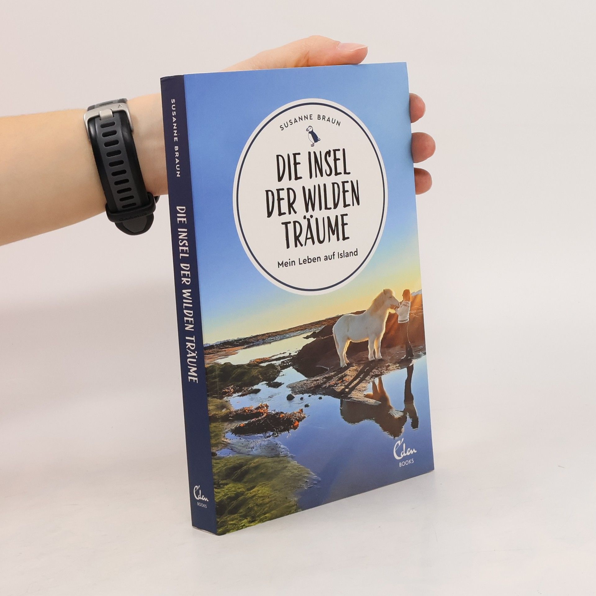 Susanne Braun-Bau Die Insel der wilden Träume