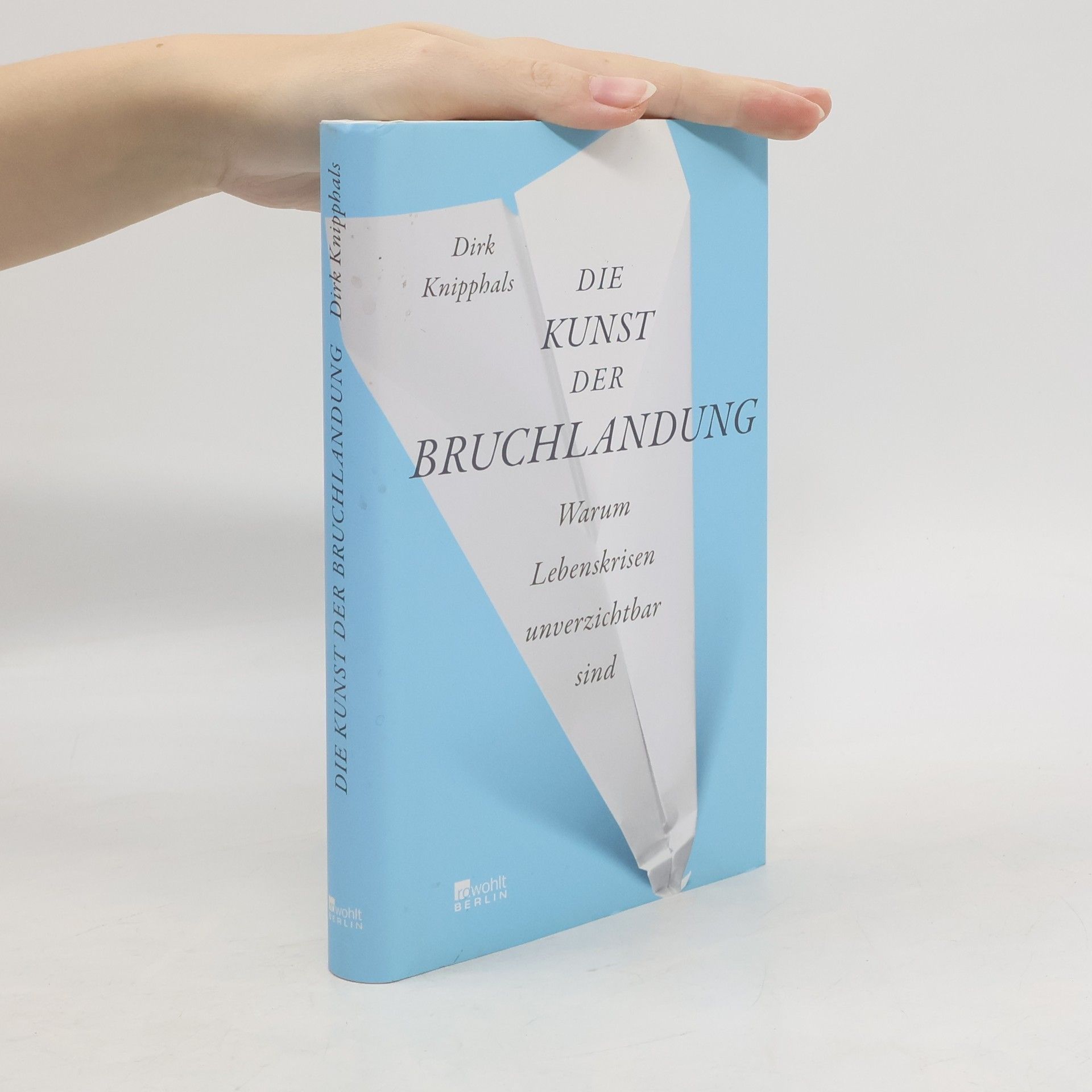 Dirk Knipphals Die Kunst der Bruchlandung