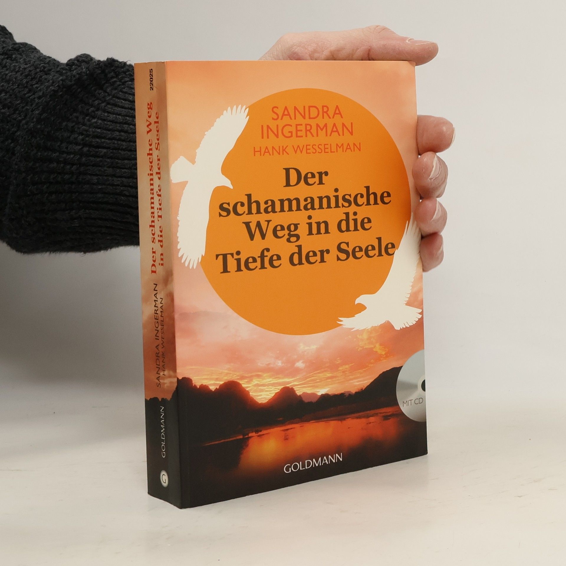 Andrea Panster Der schamanische Weg in die Tiefe der Seele