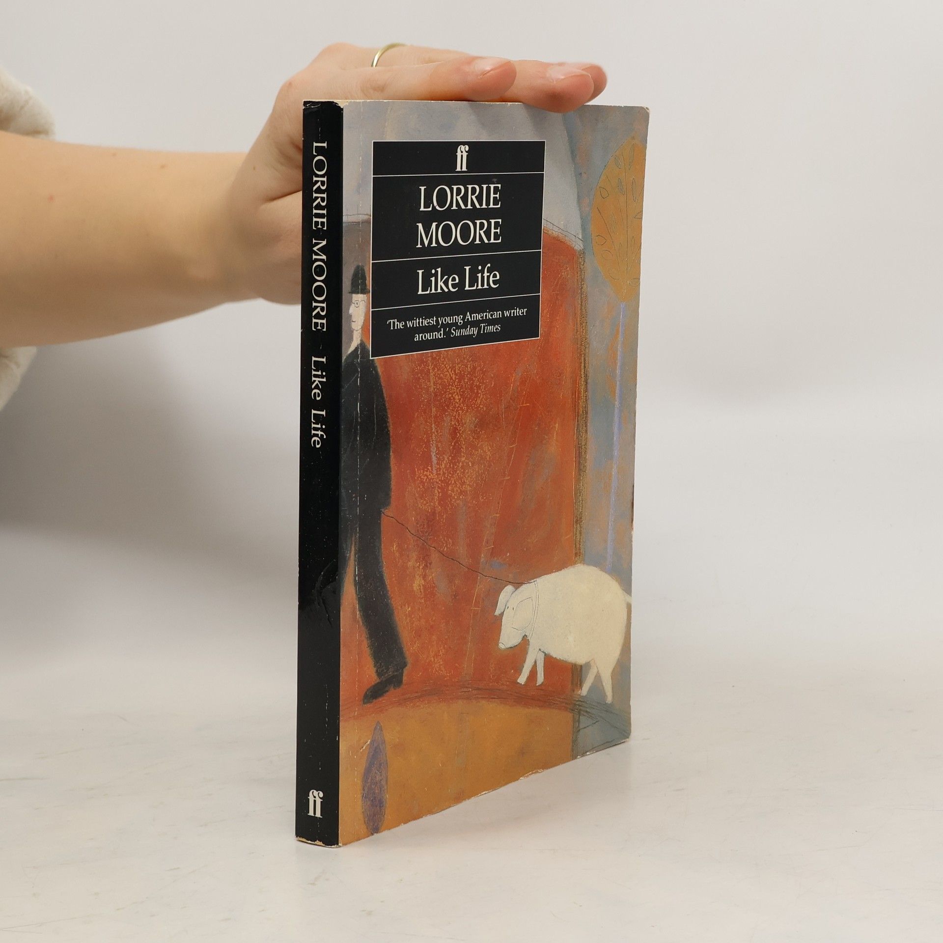 Lorrie Moore Like Life