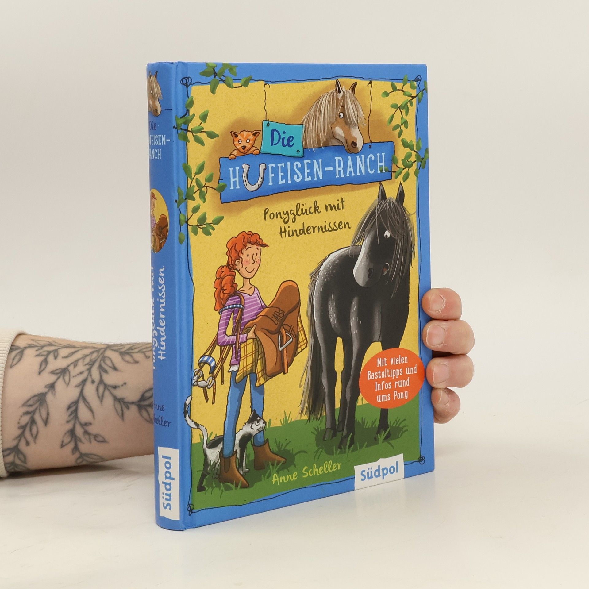 Anne Scheller Die Hufeisen-Ranch - Ponyglück mit Hindernissen