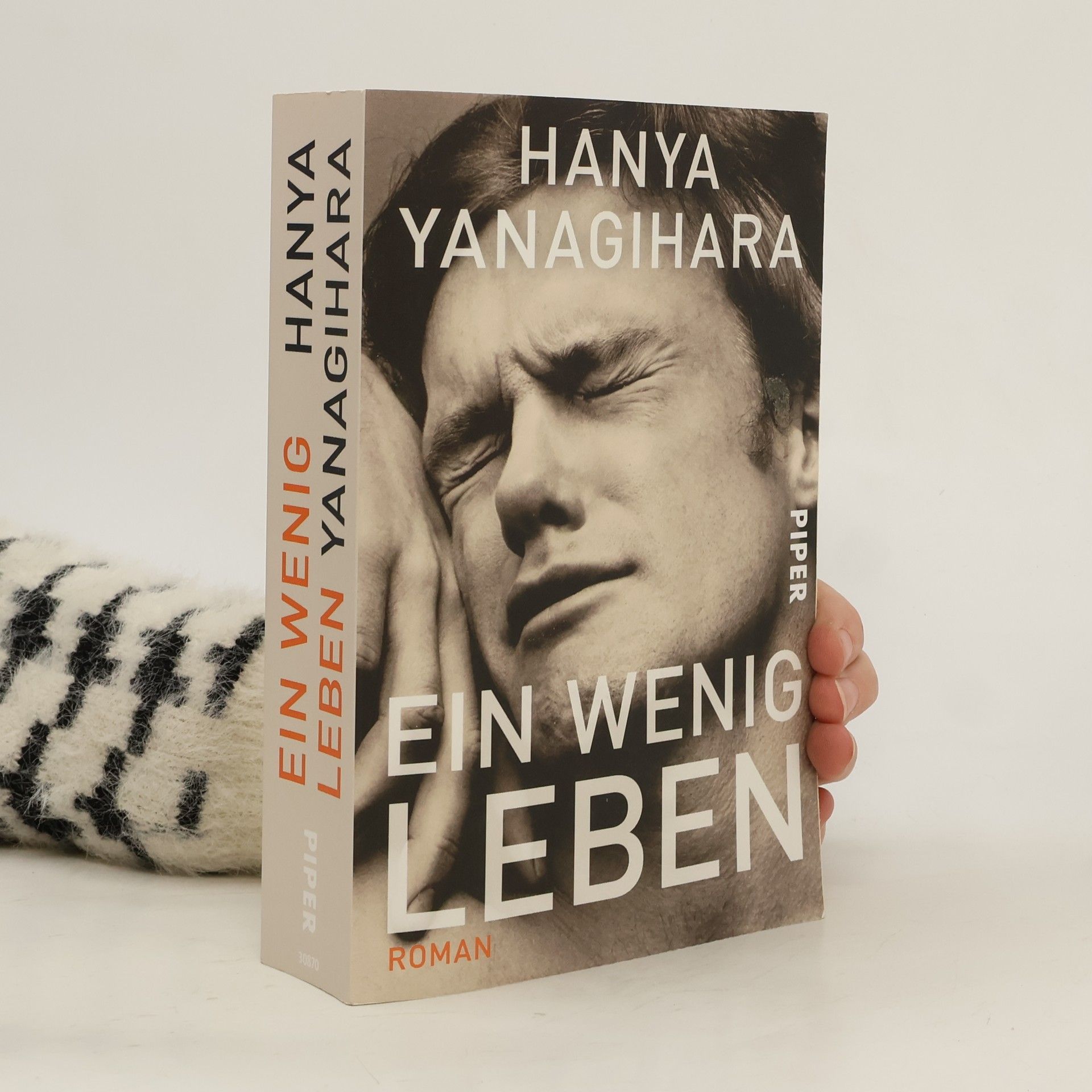 Hanya Yanagihara Ein wenig Leben