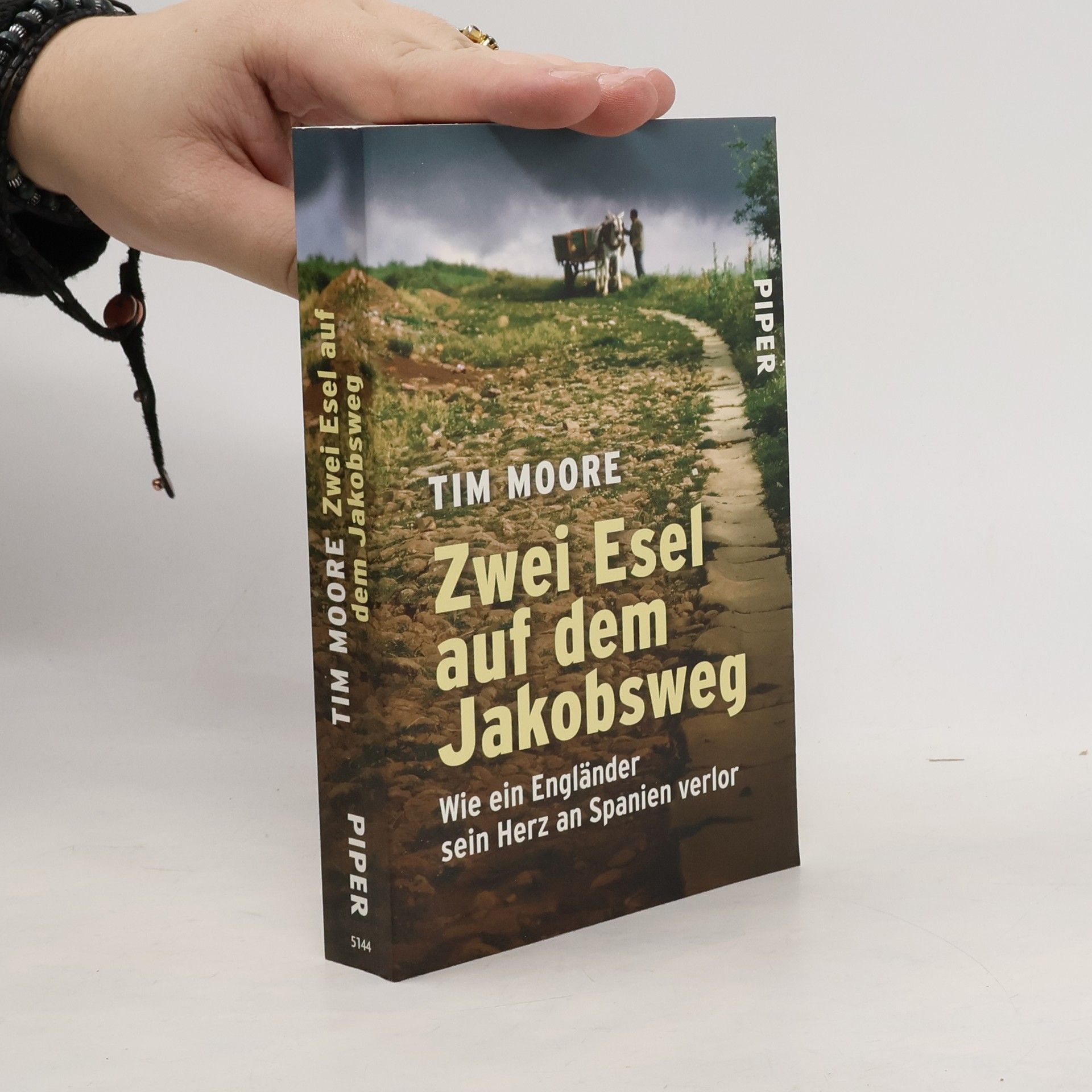 Tim Moore Zwei Esel auf dem Jakobsweg