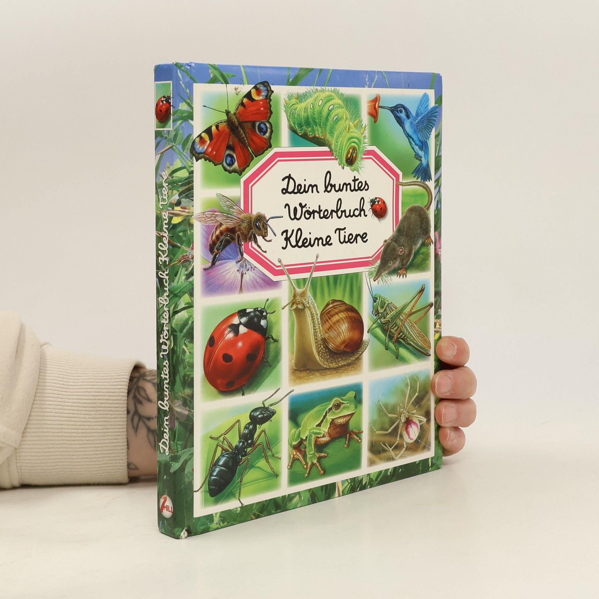 Kolektív autorov Dein buntes Wörterbuch. Kleine Tiere