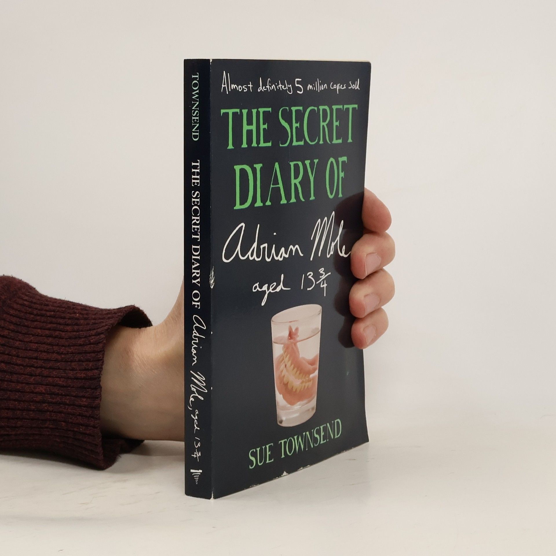 Sue Townsend The Secret Diary of Adrian Mole, Aged 13 3/4. Das geheime Tagebuch des Adrian Mole, 13 3/4 Jahre alt, englische Ausgabe