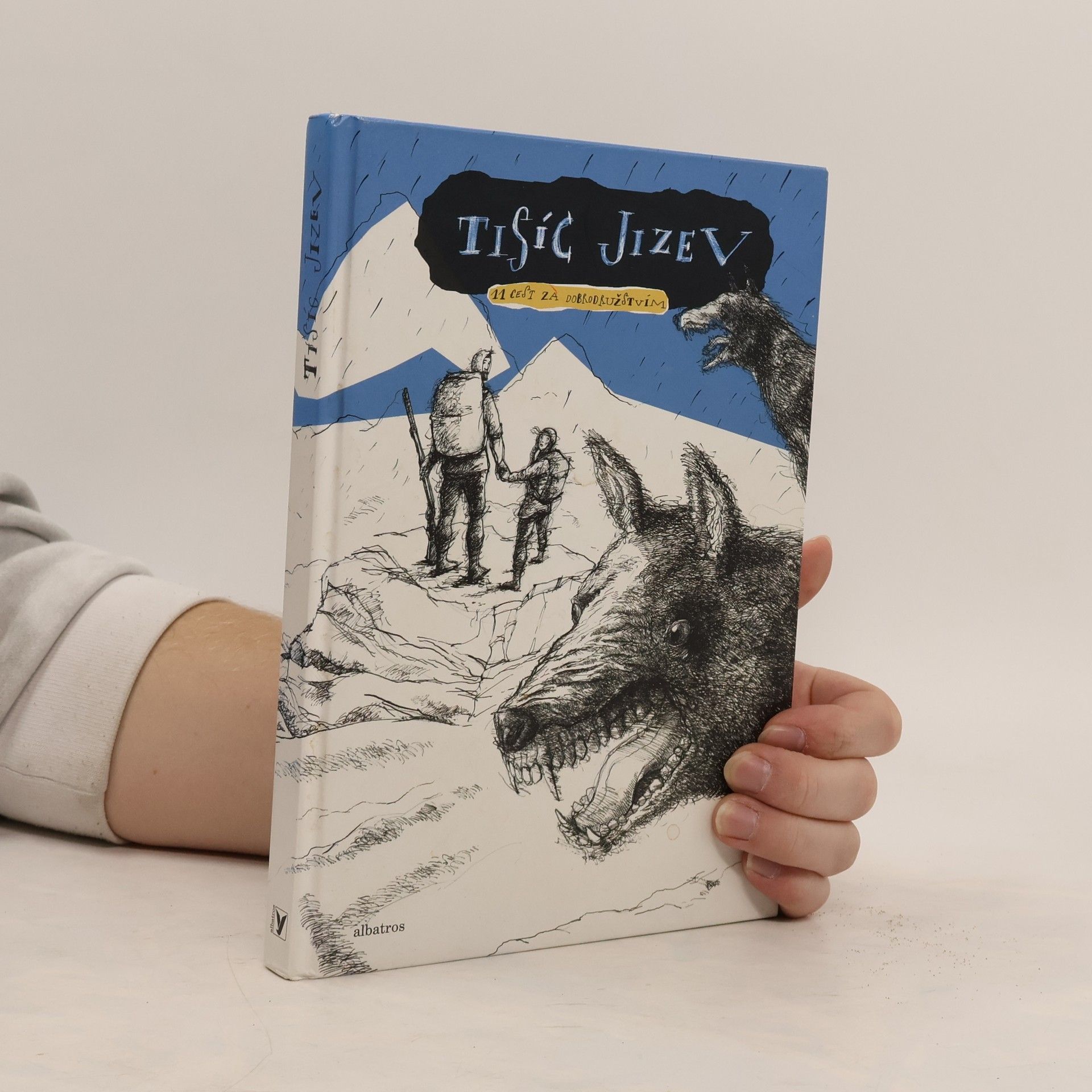 Klára Mayerová Tisíc jizev : 11 cest za dobrodružstvím