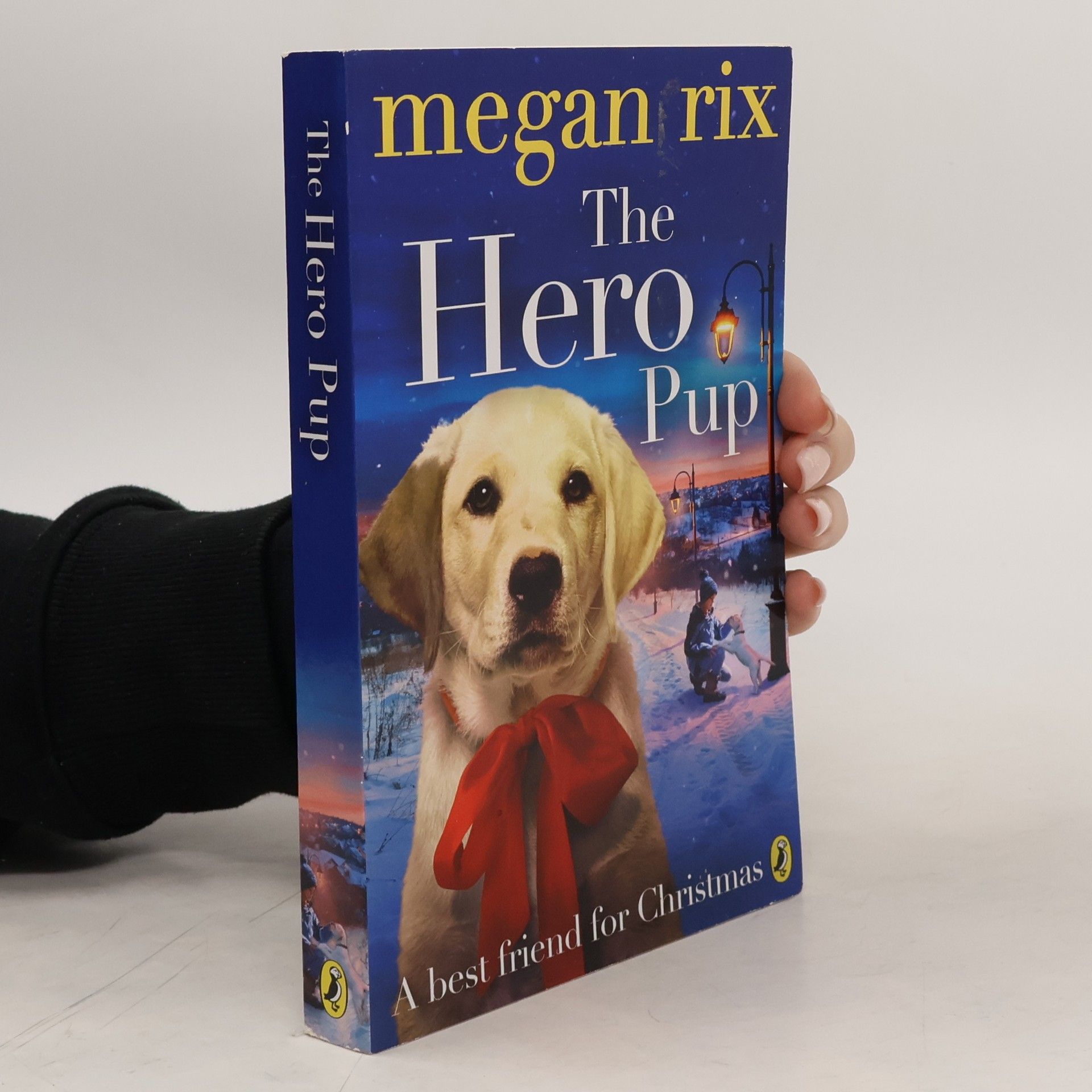 Megan Rix The Hero Pup