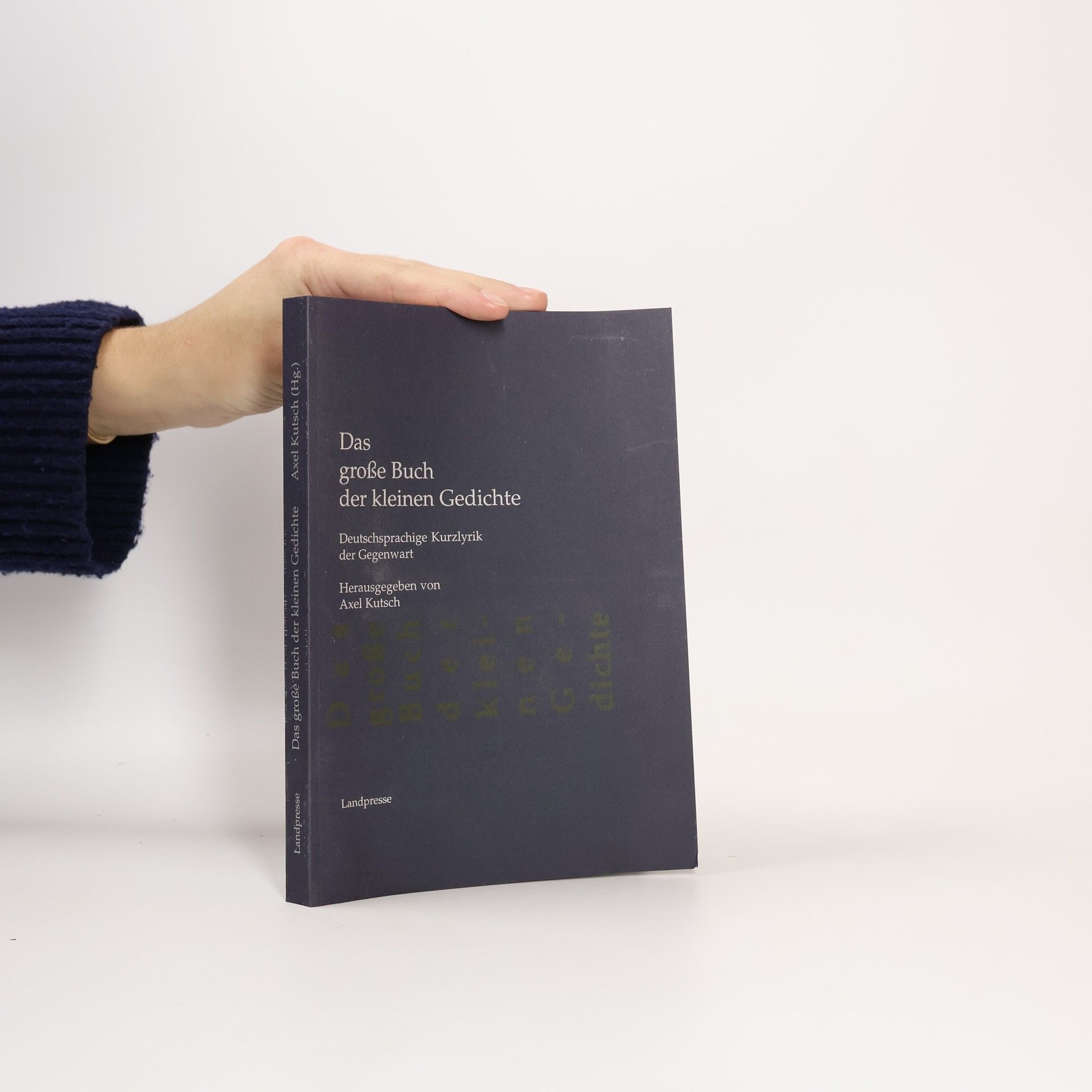 Axel Kutsch Das große Buch der kleinen Gedichte