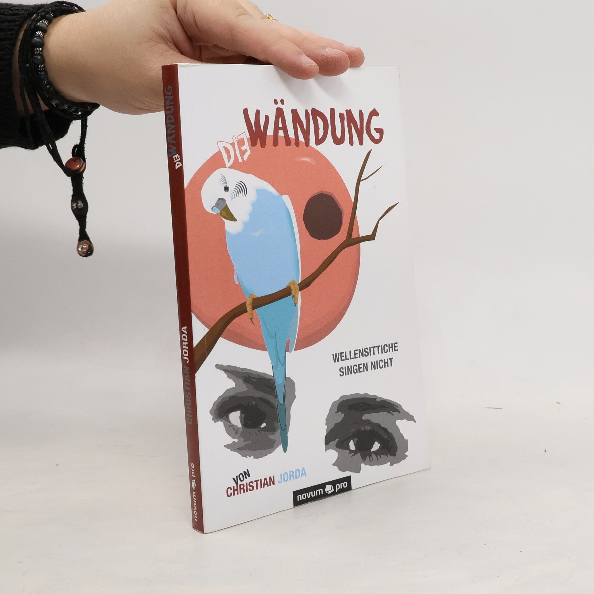 Christian Jorda Die Wändung