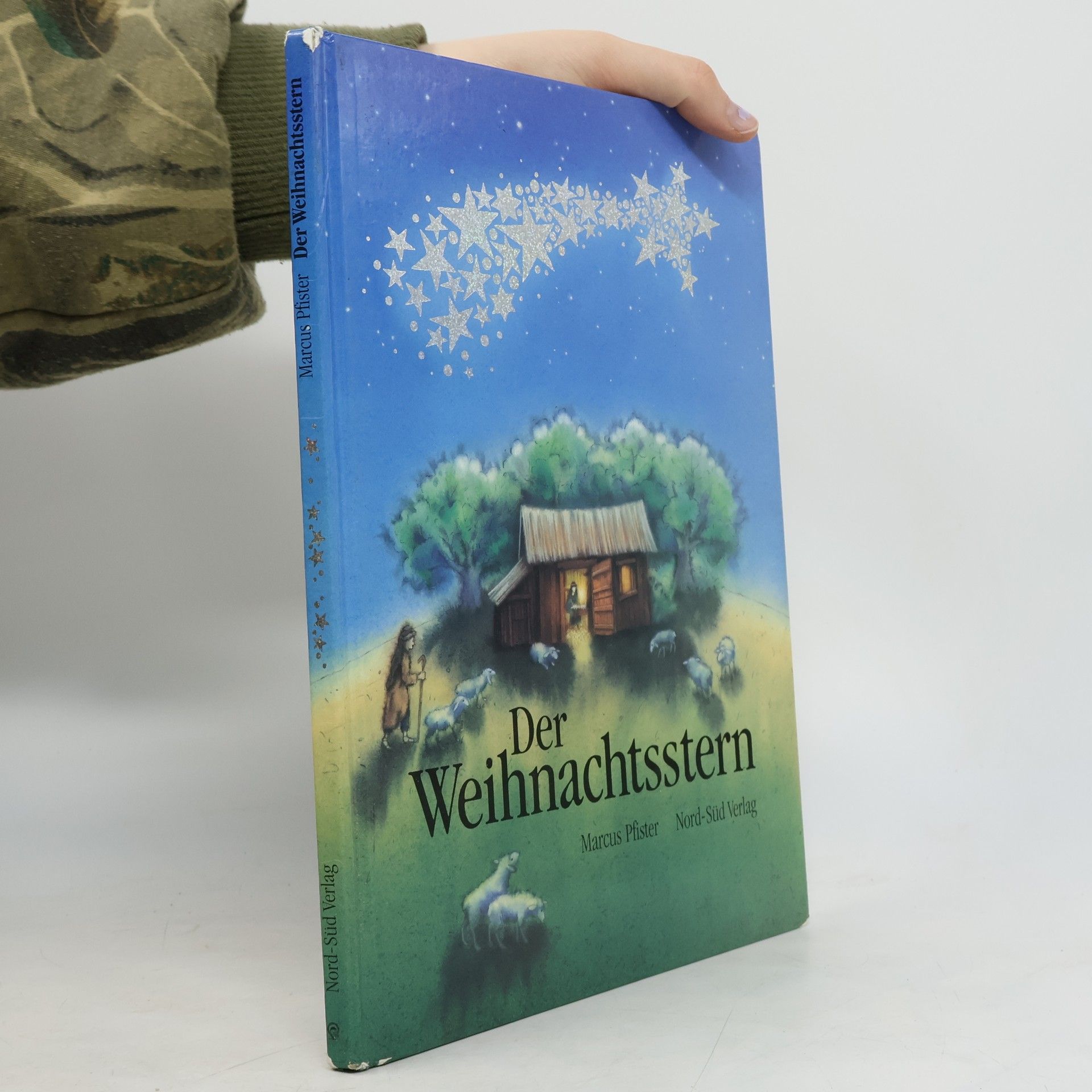 Marcus Pfister Der Weihnachtsstern