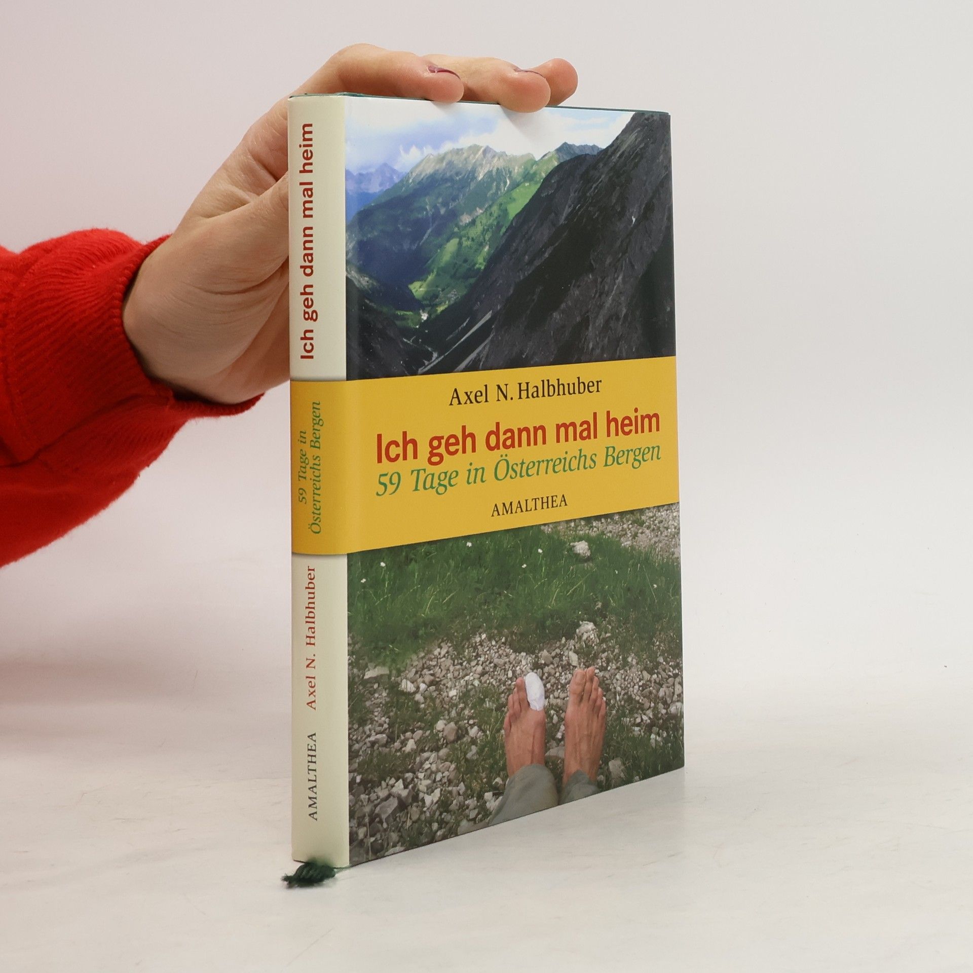 Ich geh dann mal heim : 59 Tage in Österreichs Bergen