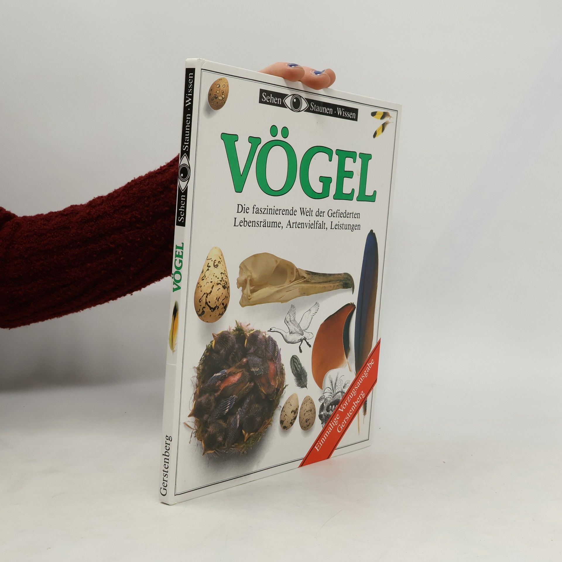 Autorenkollektiv Vögel