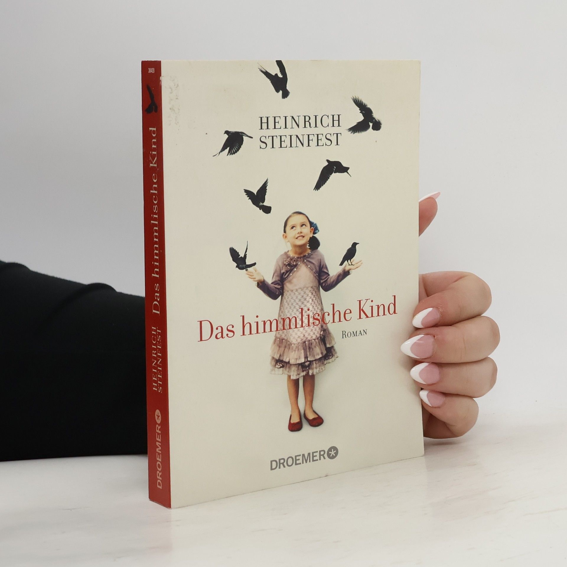 Heinrich Steinfest Das himmlische Kind