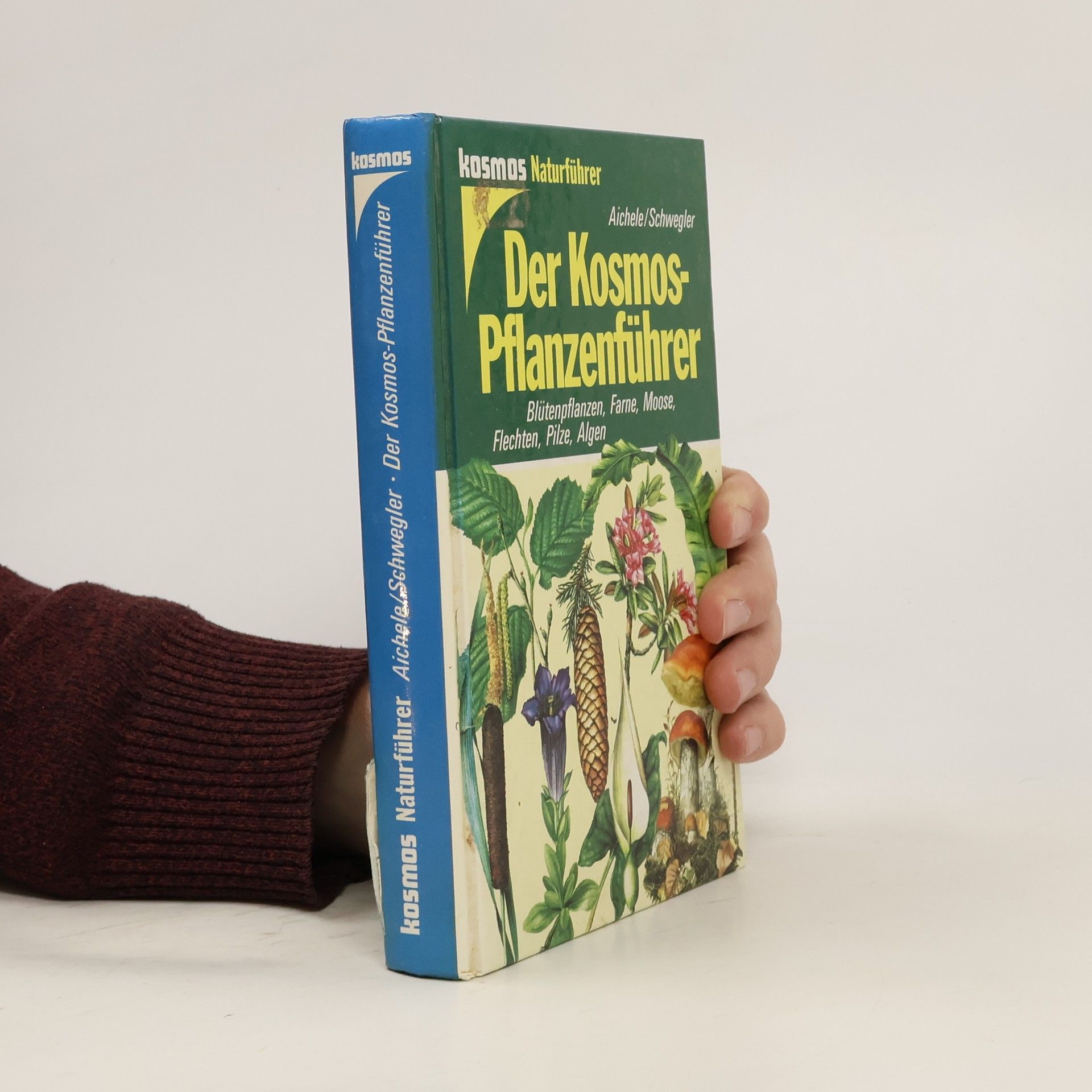 Der Kosmos-Pflanzenführer : Blütenpflanzen, Farne, Moose, Flechten, Pilze, Algen in 653 Farbbildern