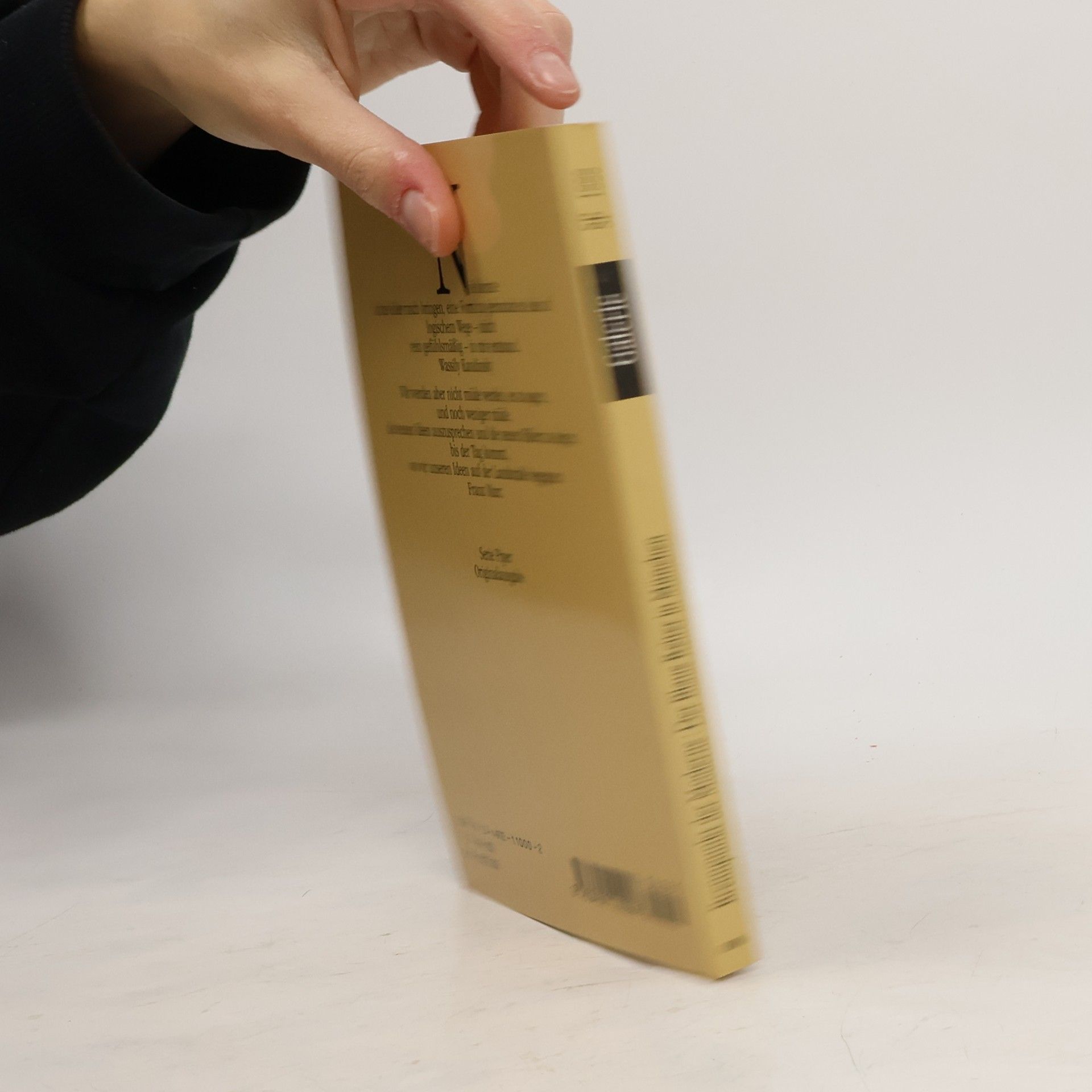 Rosel Gollek Brennpunkt der Moderne, Der Blaue Reiter in München