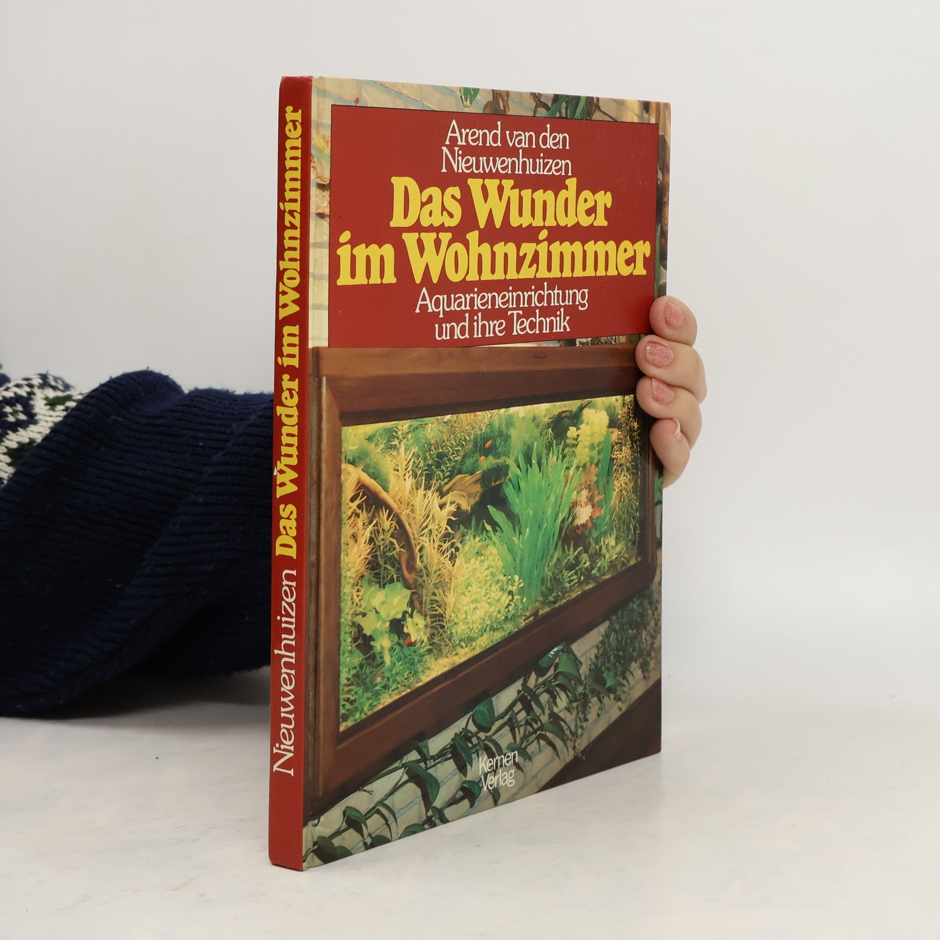 Arend van den Nieuwenhuizen Das Wunder im Wohnzimmer