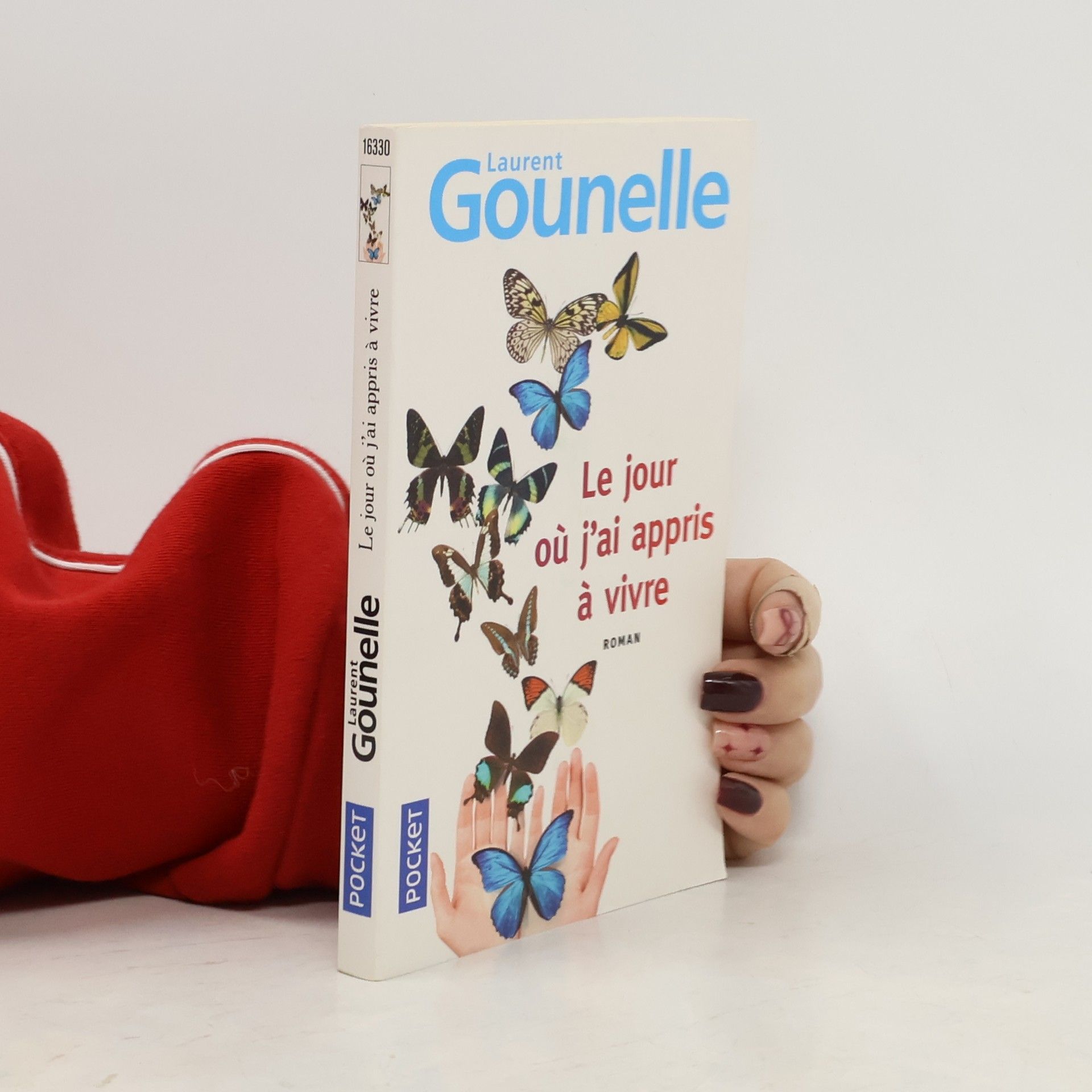 Laurent Gounelle Le jour où j'ai appris à vivre