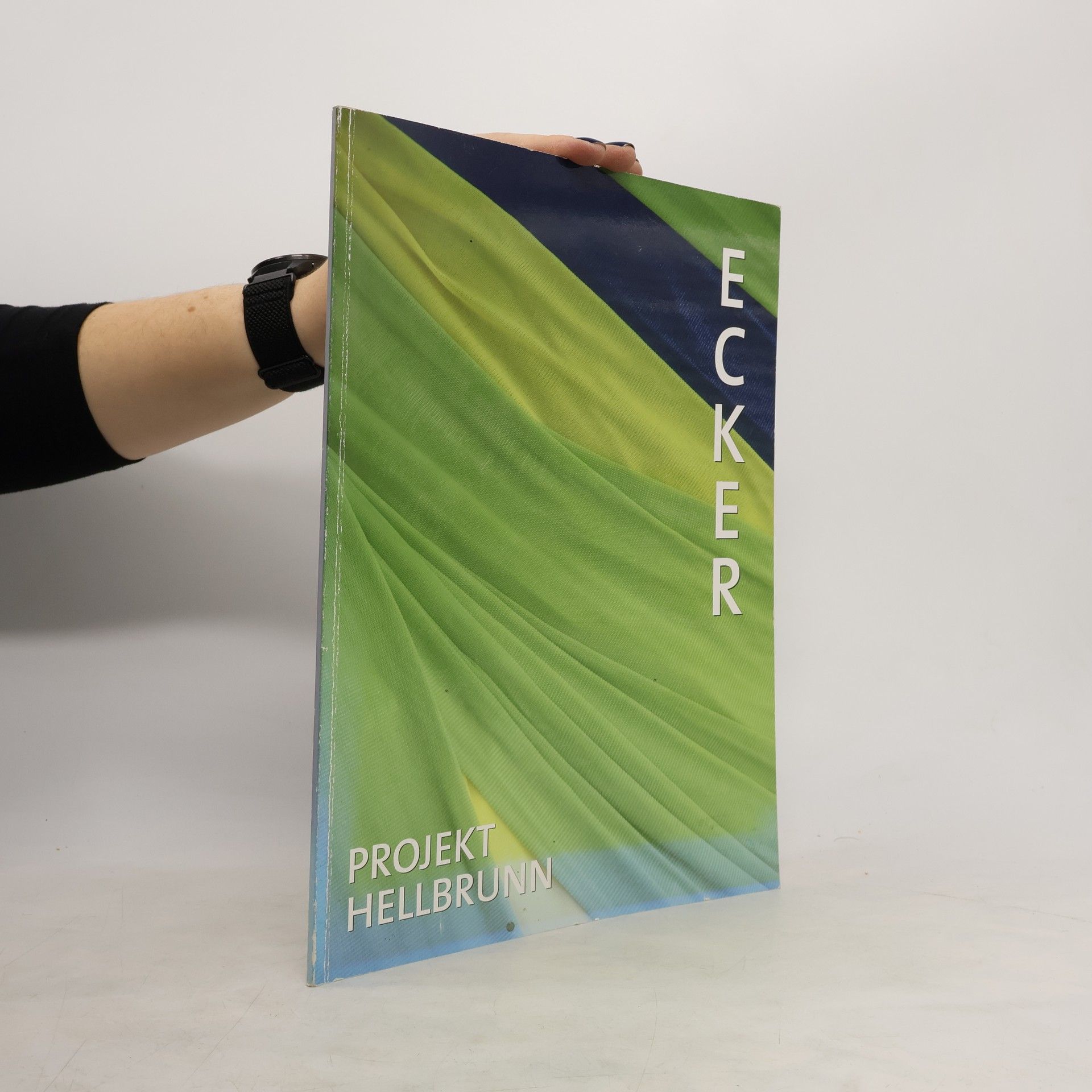 Ecker. Projekt Hellbrunn 2004