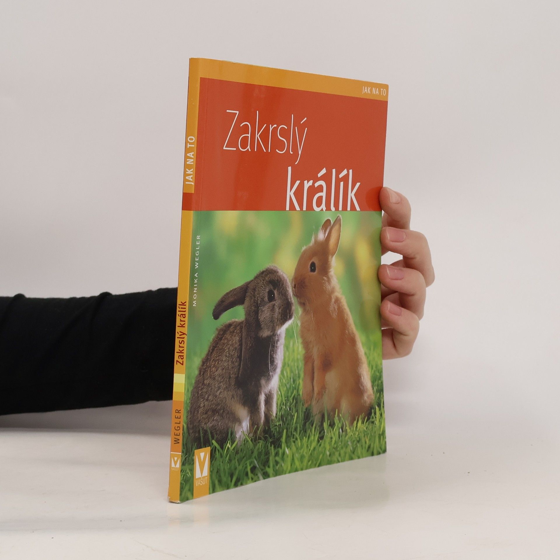 Monika Wegler Zakrslý králík