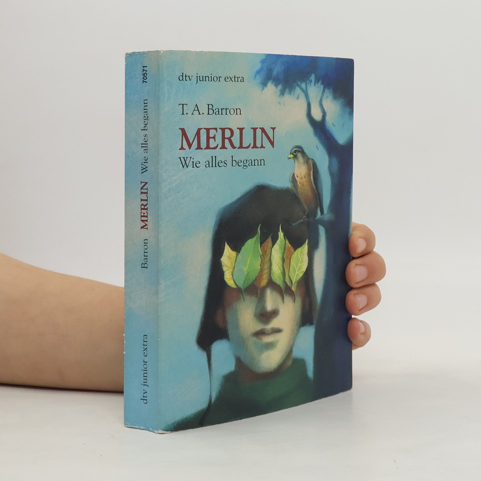 T. A. Barron Merlin. Wie alles begann