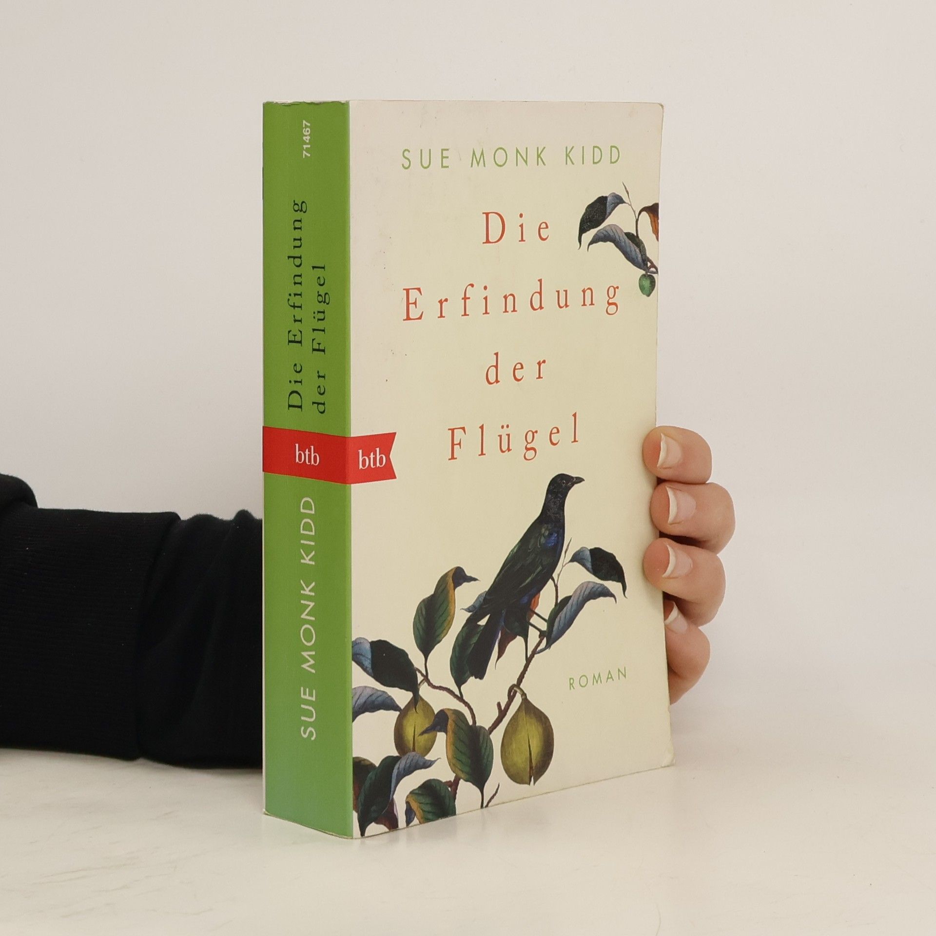 Sue Monk Kidd Die Erfindung der Flügel