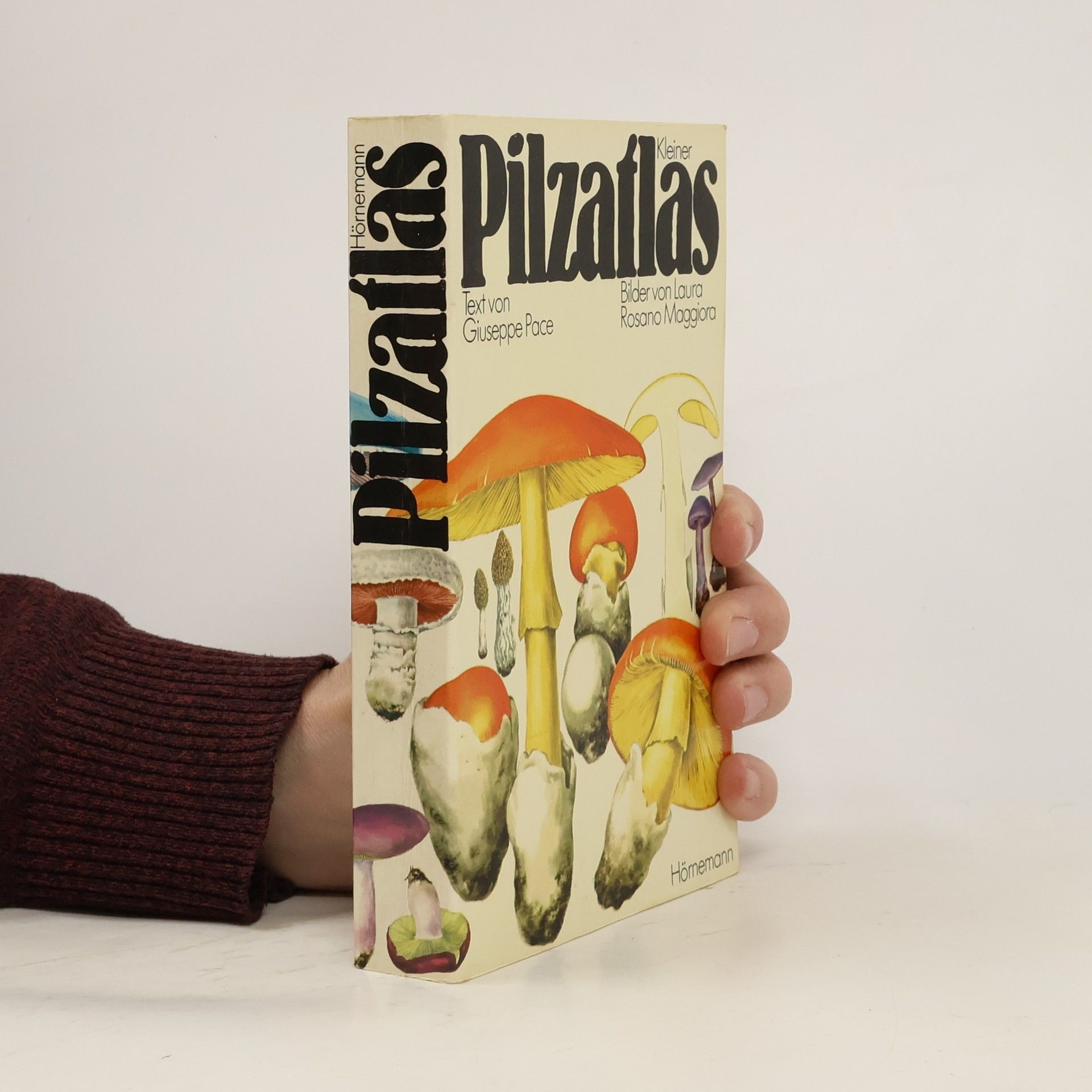 Giuseppe Pace Pilzaflas