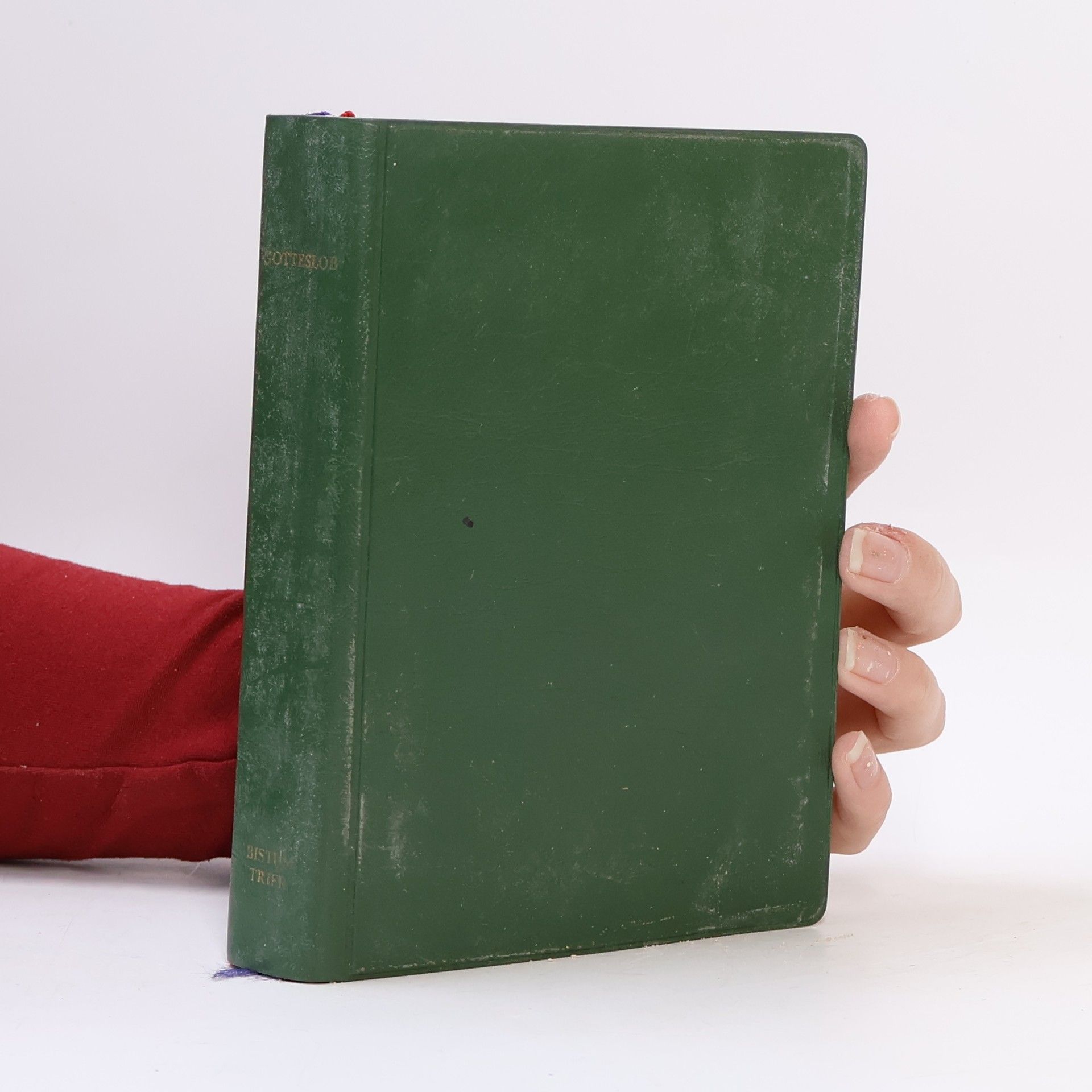 Bischöfe Deutschlands u. Österreichs u. d. Bistümer Bozen-Brixen u. Lüttich Bistum Trier: Gotteslob