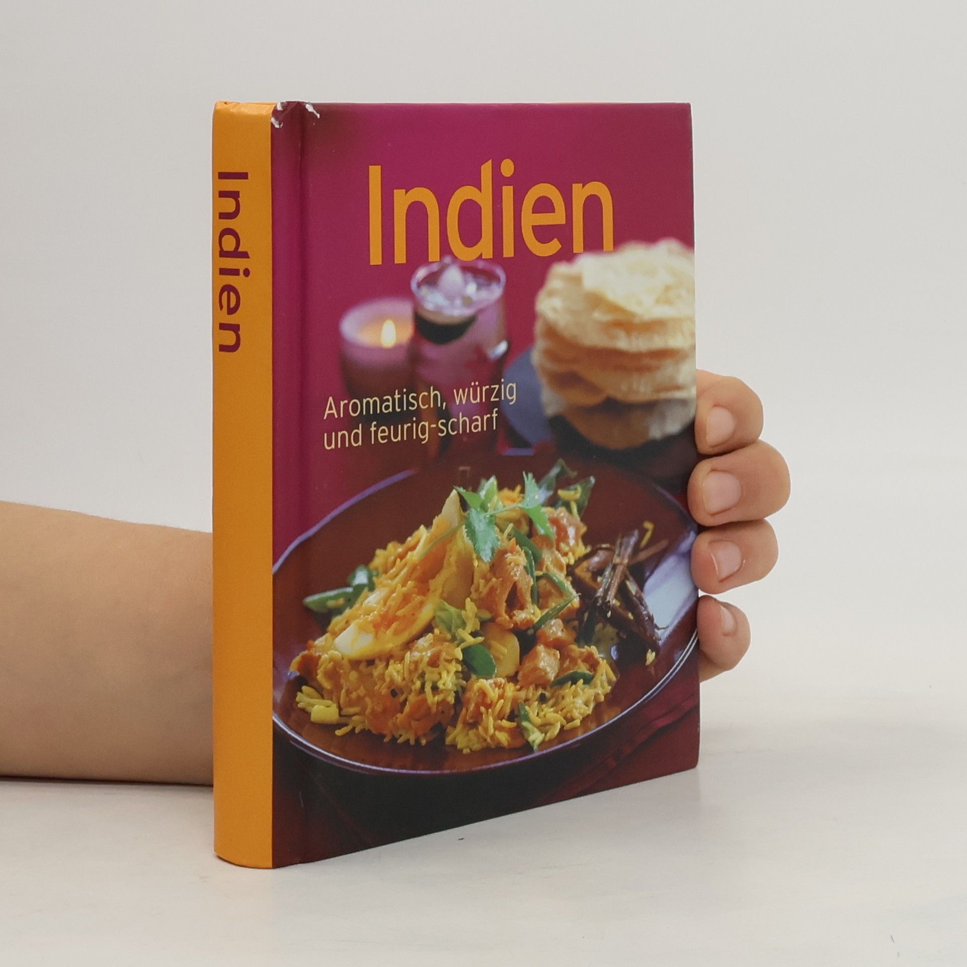 Kolektiv autorů Indien