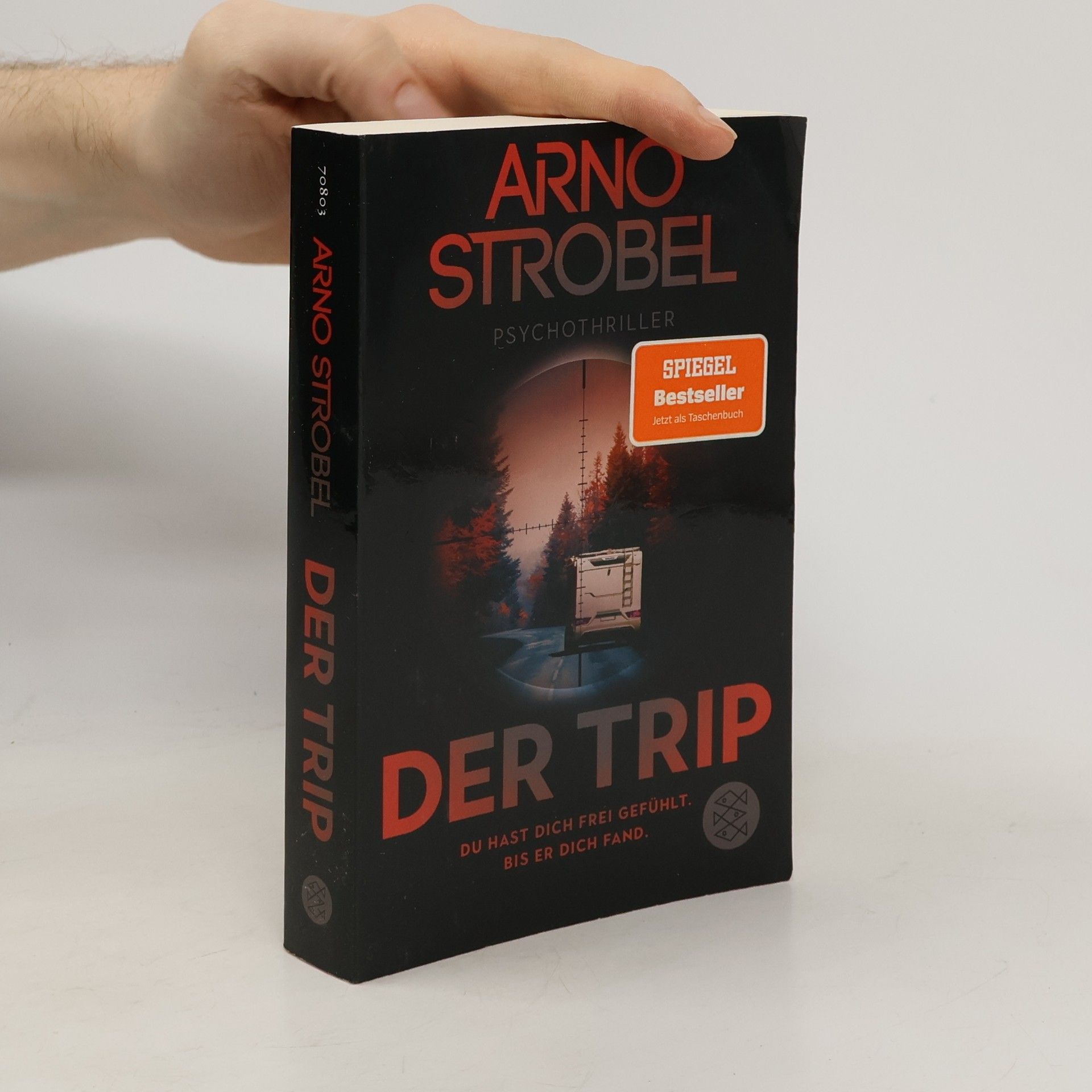 Arno Strobel Der Trip