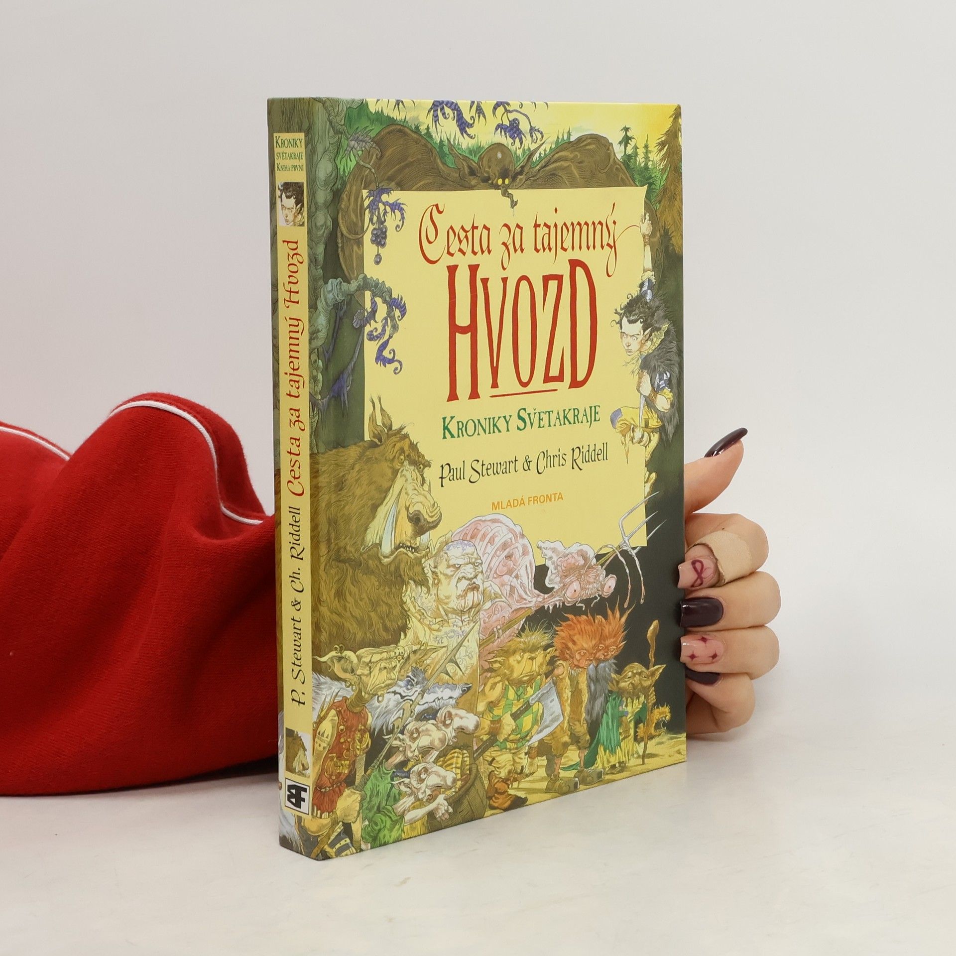 Cesta za tajemný Hvozd. Kniha první