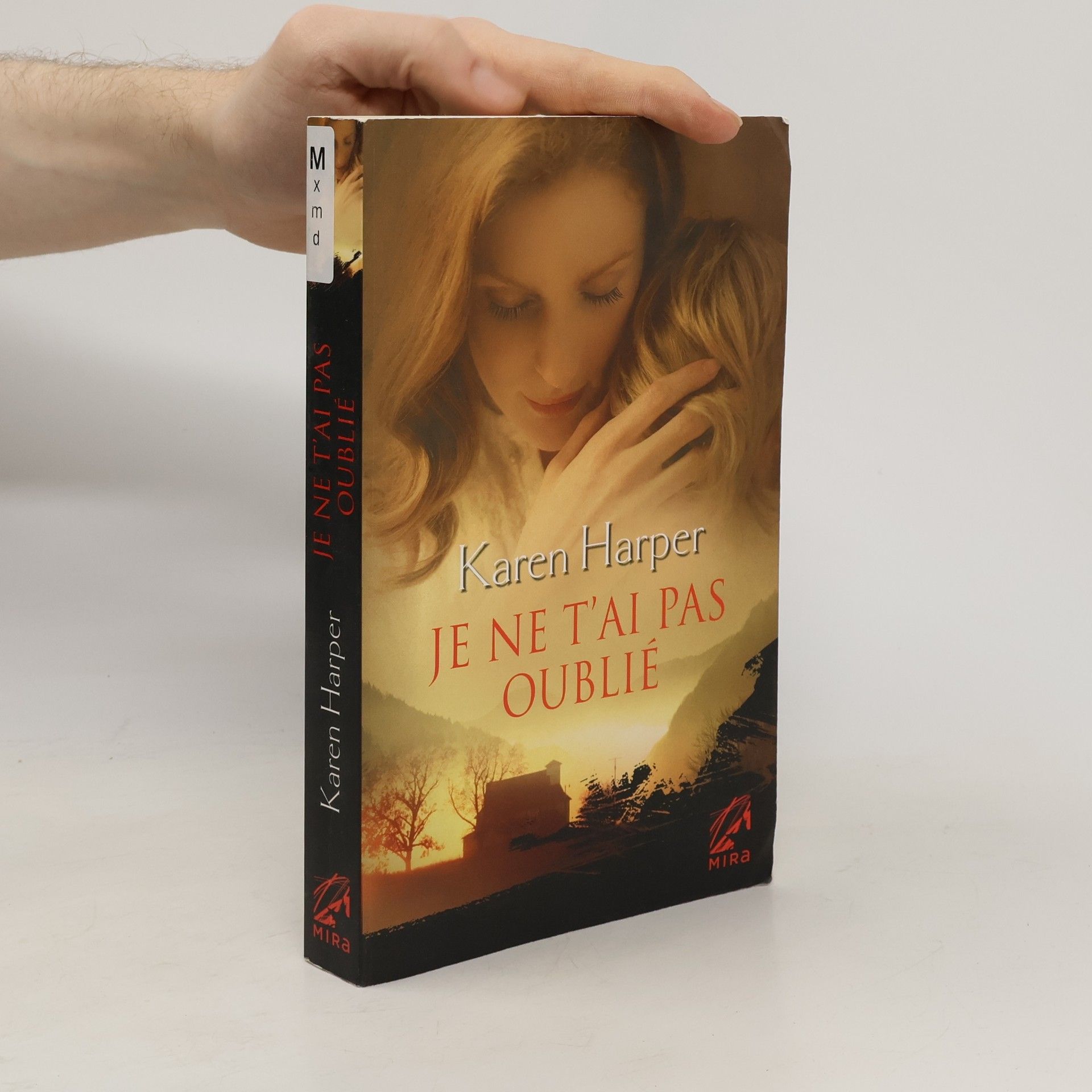 Karen Harper Je ne t'ai pas oublié