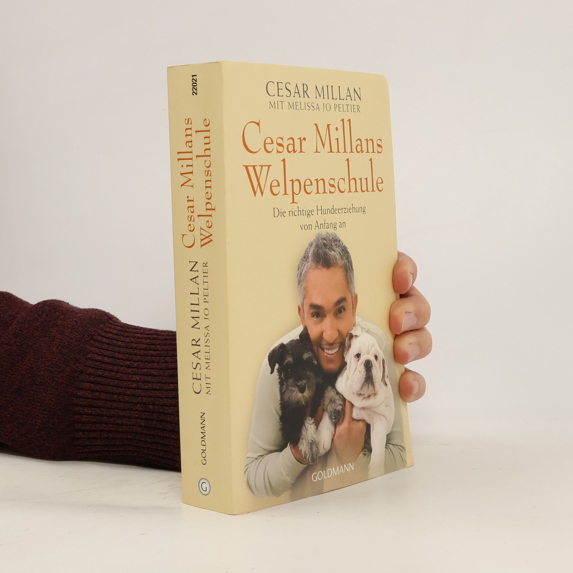 Cesar Millan Cesar Millans Welpenschule