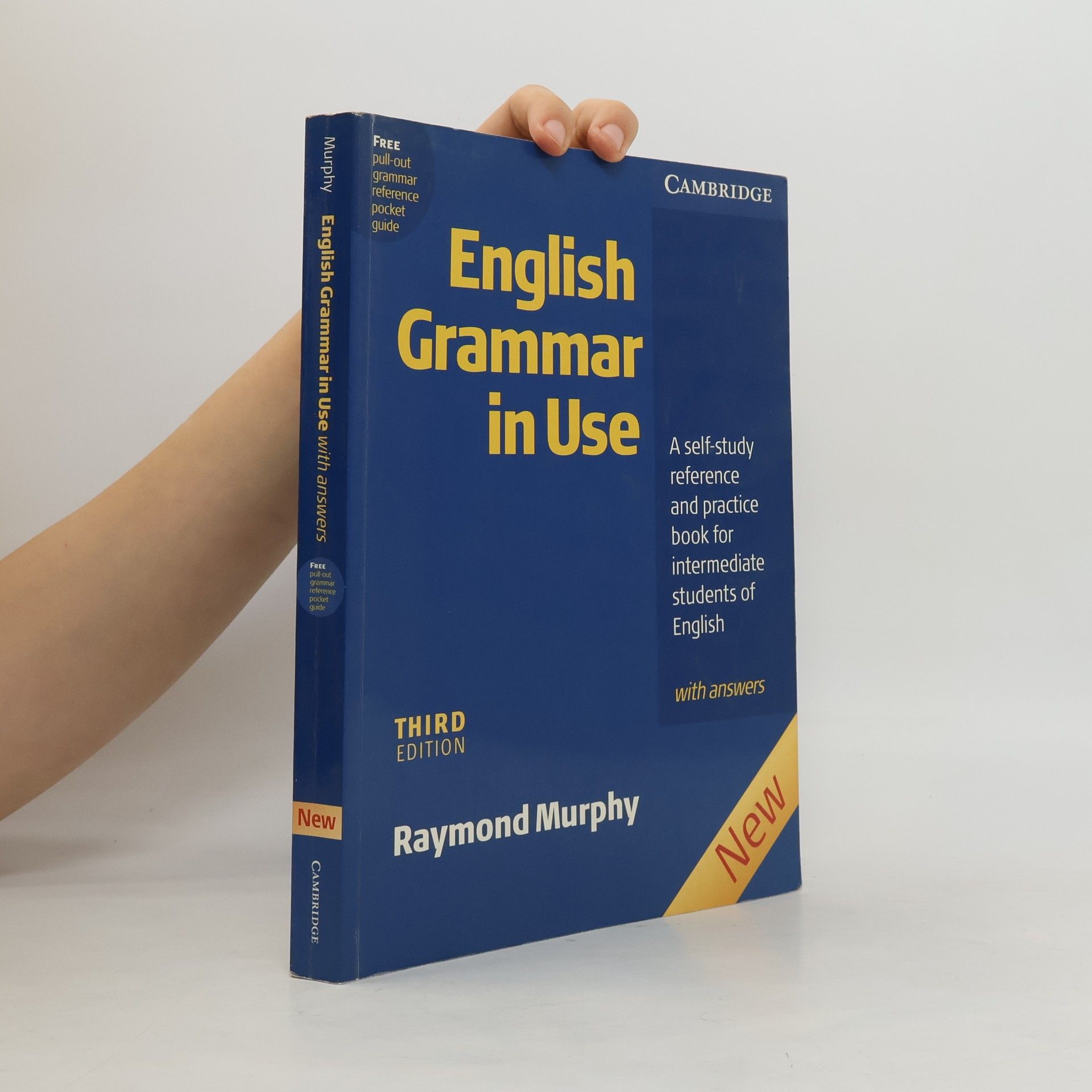 Raymond Murphy English Grammar in Use