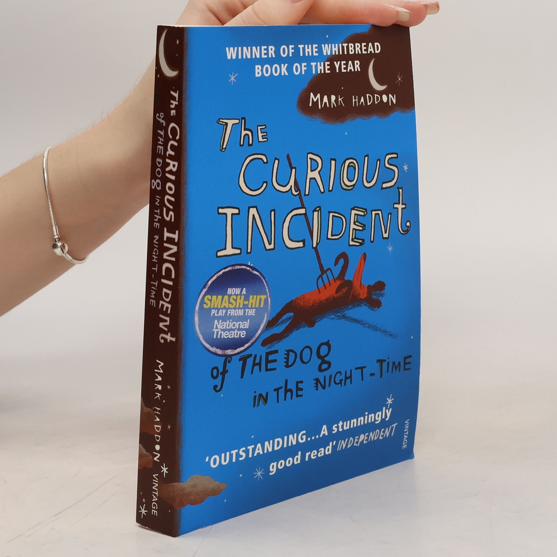 Mark Haddon The Curious Incident of the Dog in the Night-Time