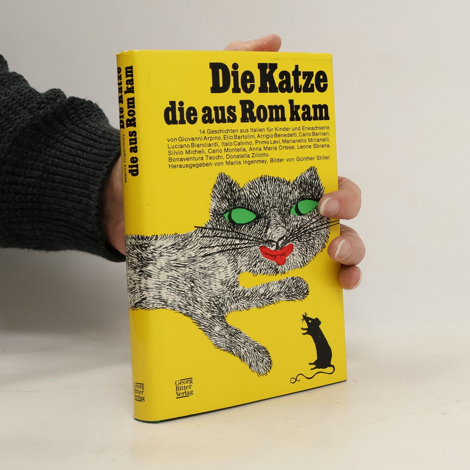 Marlis Ingenmey Die Katze, die aus Rom kam