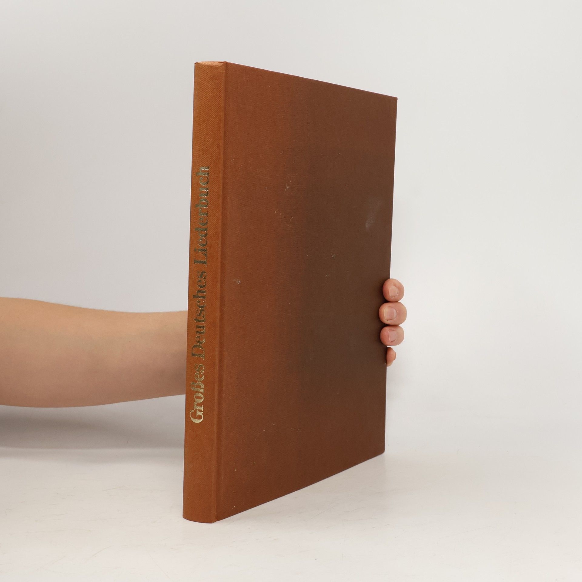 Kolektiv autorů Großes Deutsches Liederbuch