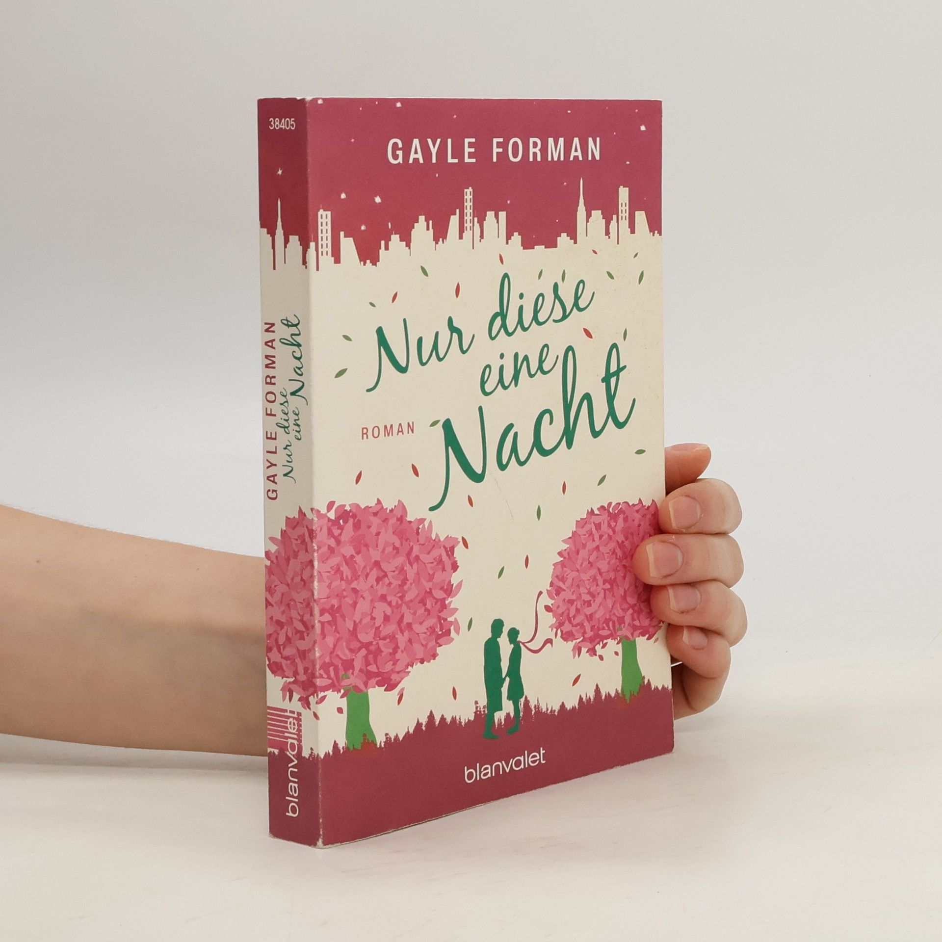 Gayle Forman Nur diese eine Nacht