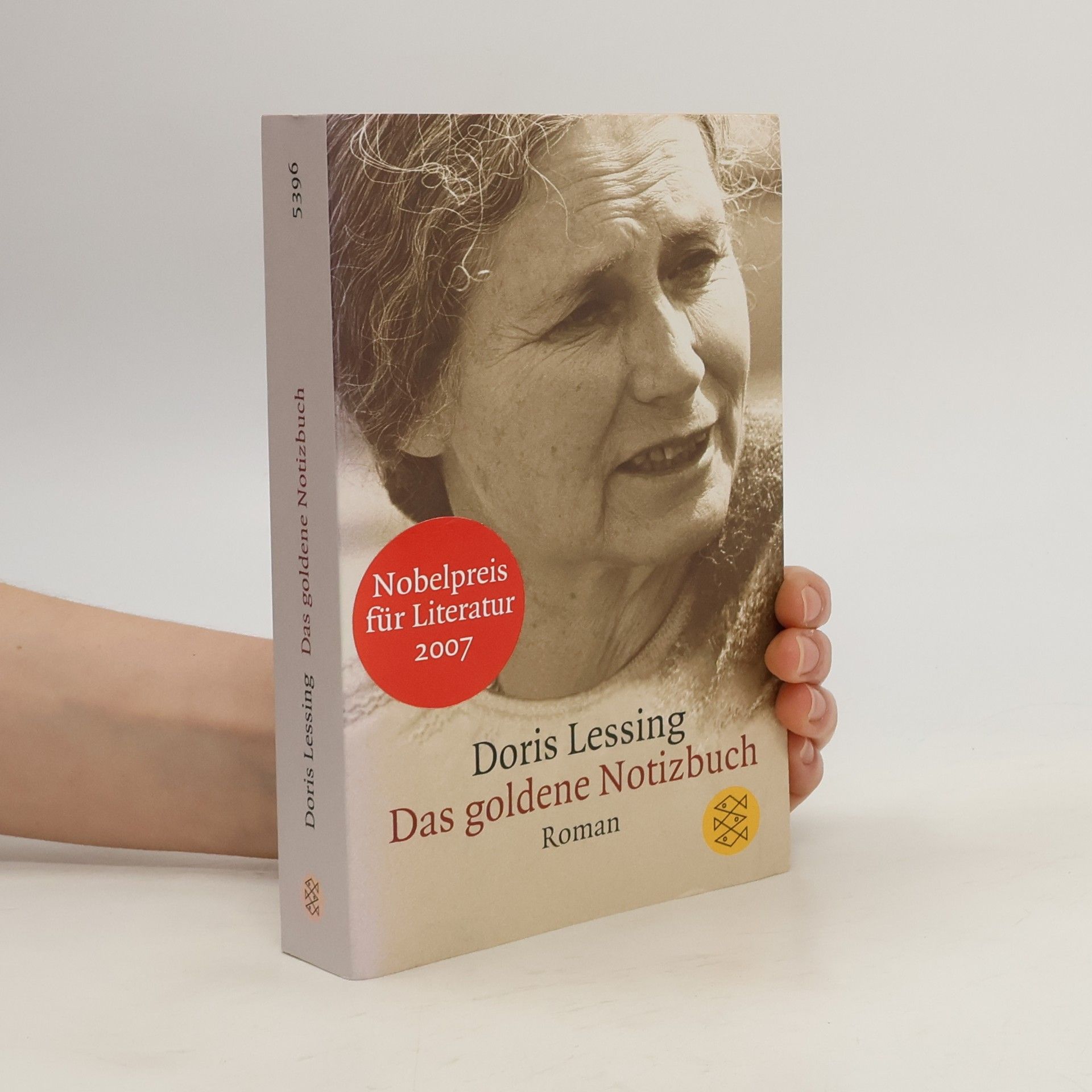 Doris Lessing Das goldene Notizbuch
