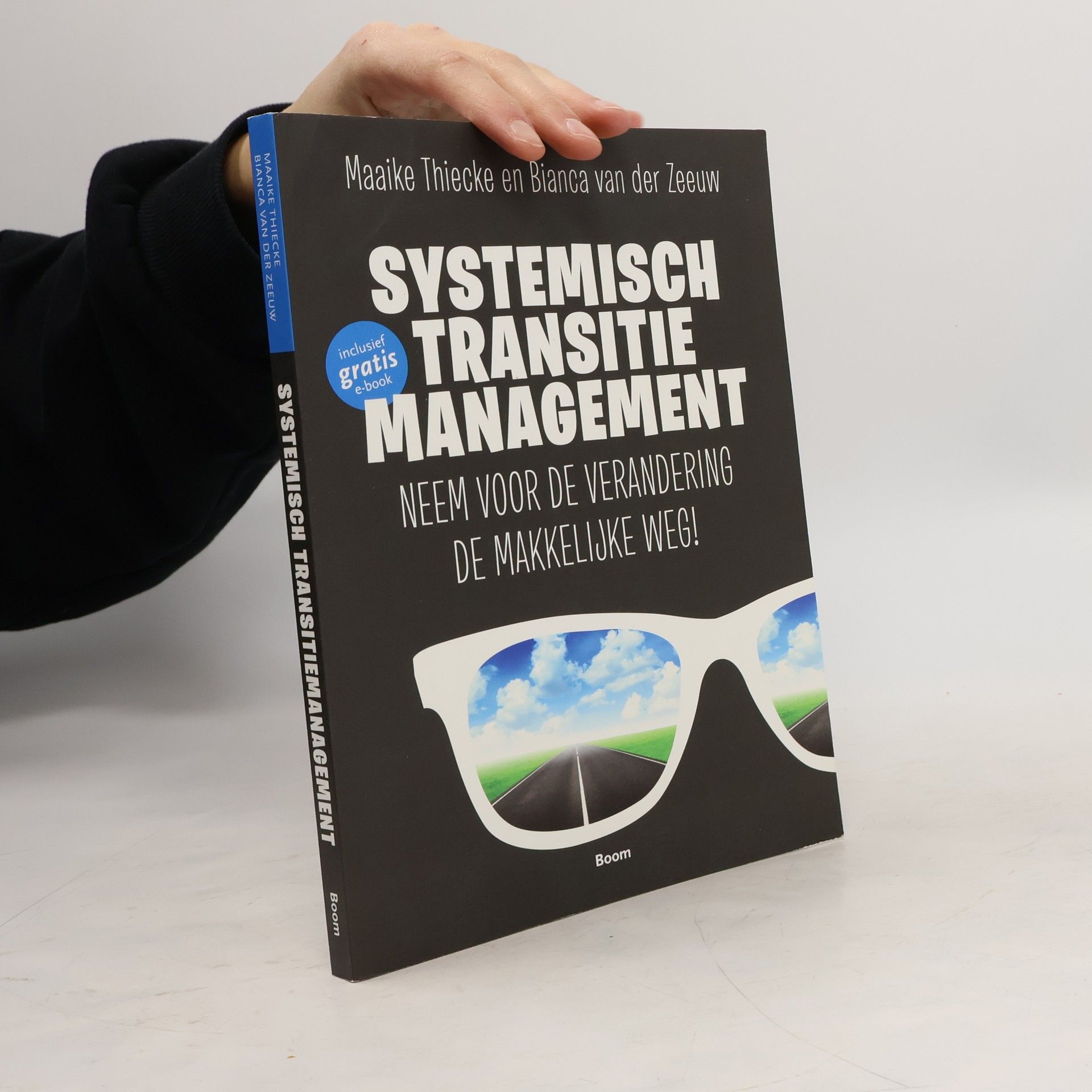 Maaike Thiecke Systemisch transitiemanagement