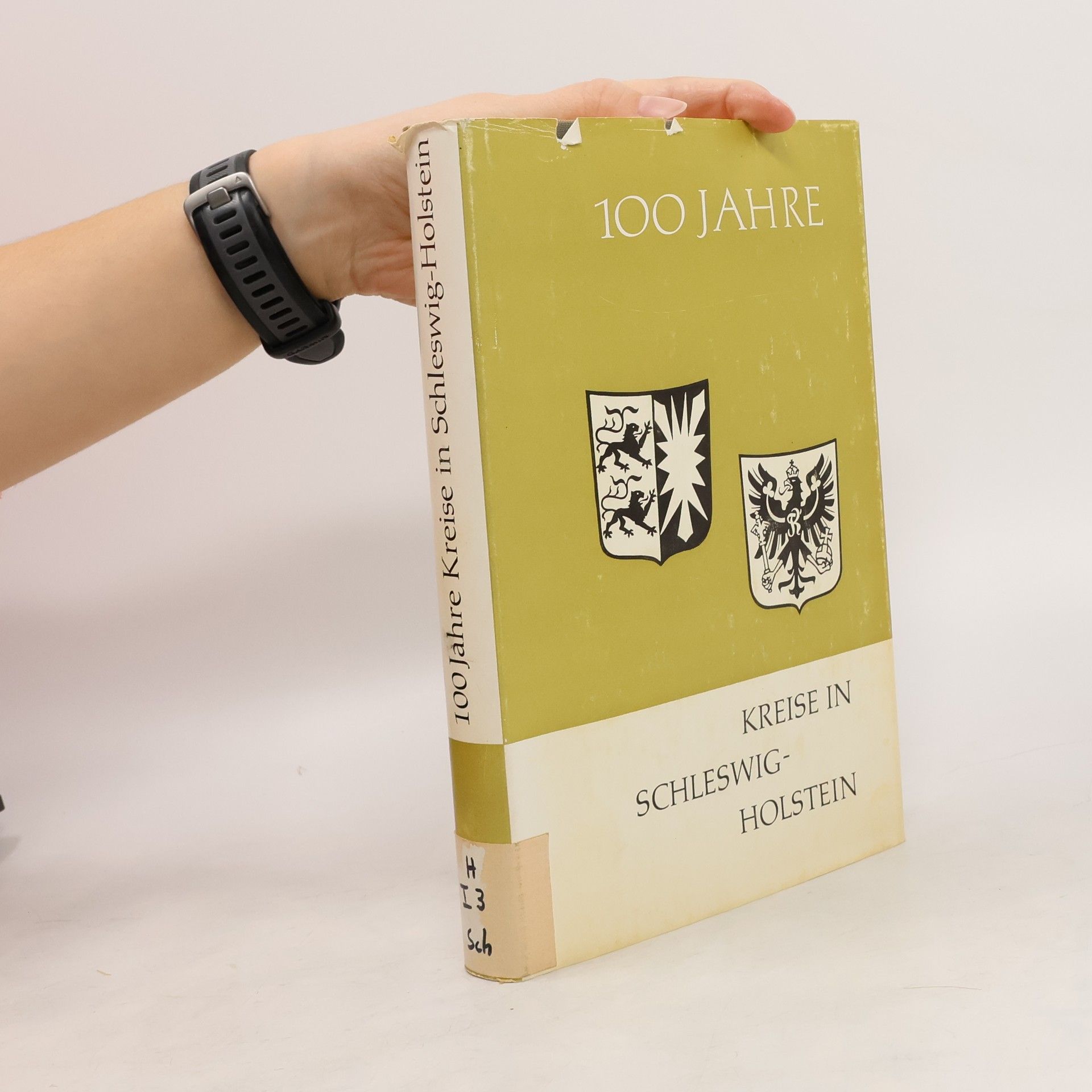 Autorenkollektiv 100 Jahre Kreise in Schleswig-Holstein