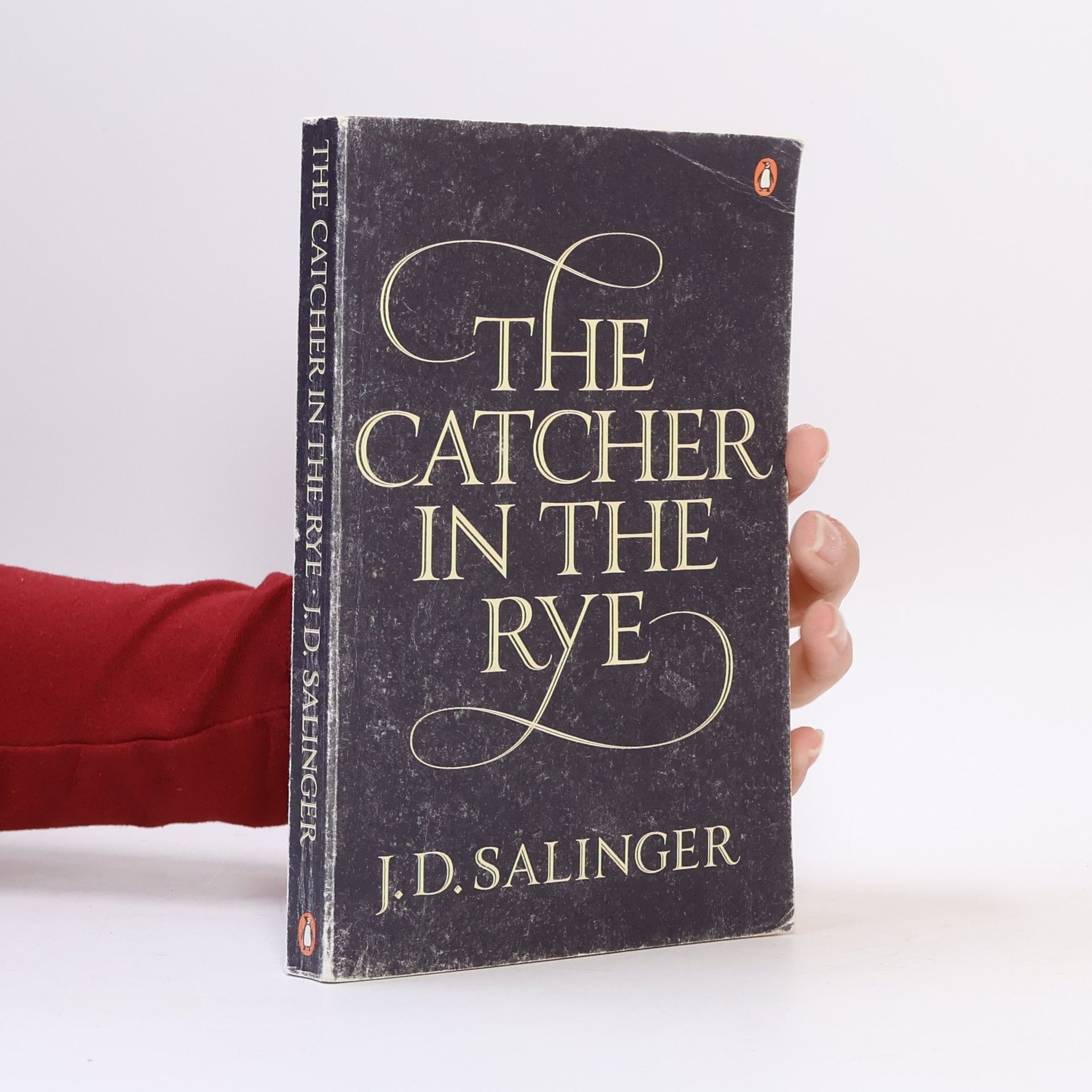 J. D. Salinger The catcher in the rye. (Kdo chytá v žitě)