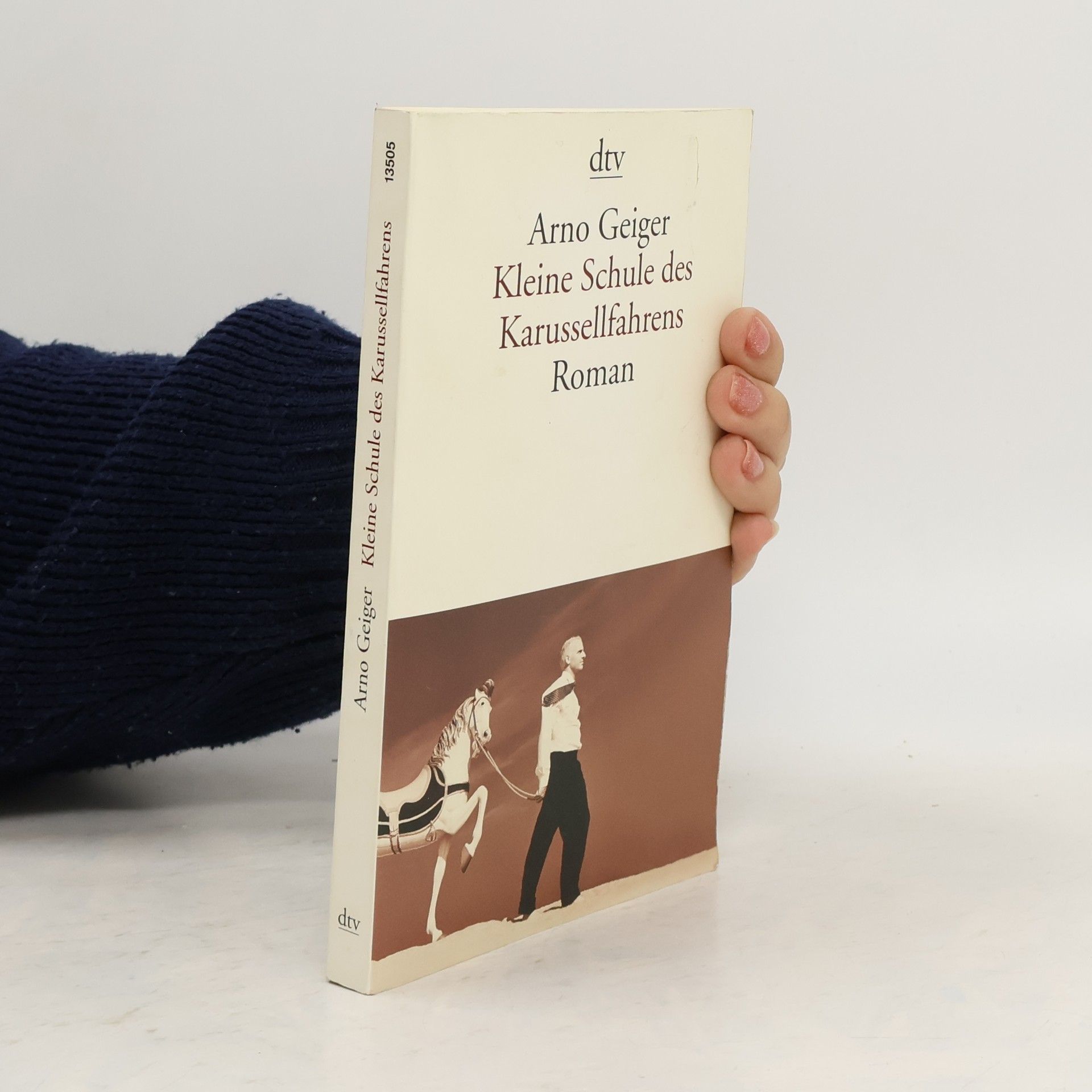 Arno Geiger Kleine Schule des Karussellfahrens