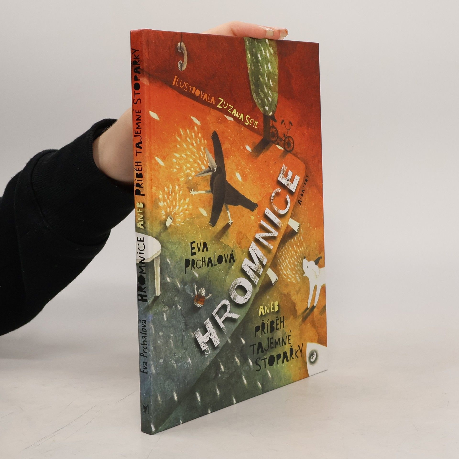 Hromnice, aneb, Příběh tajemné stopařky