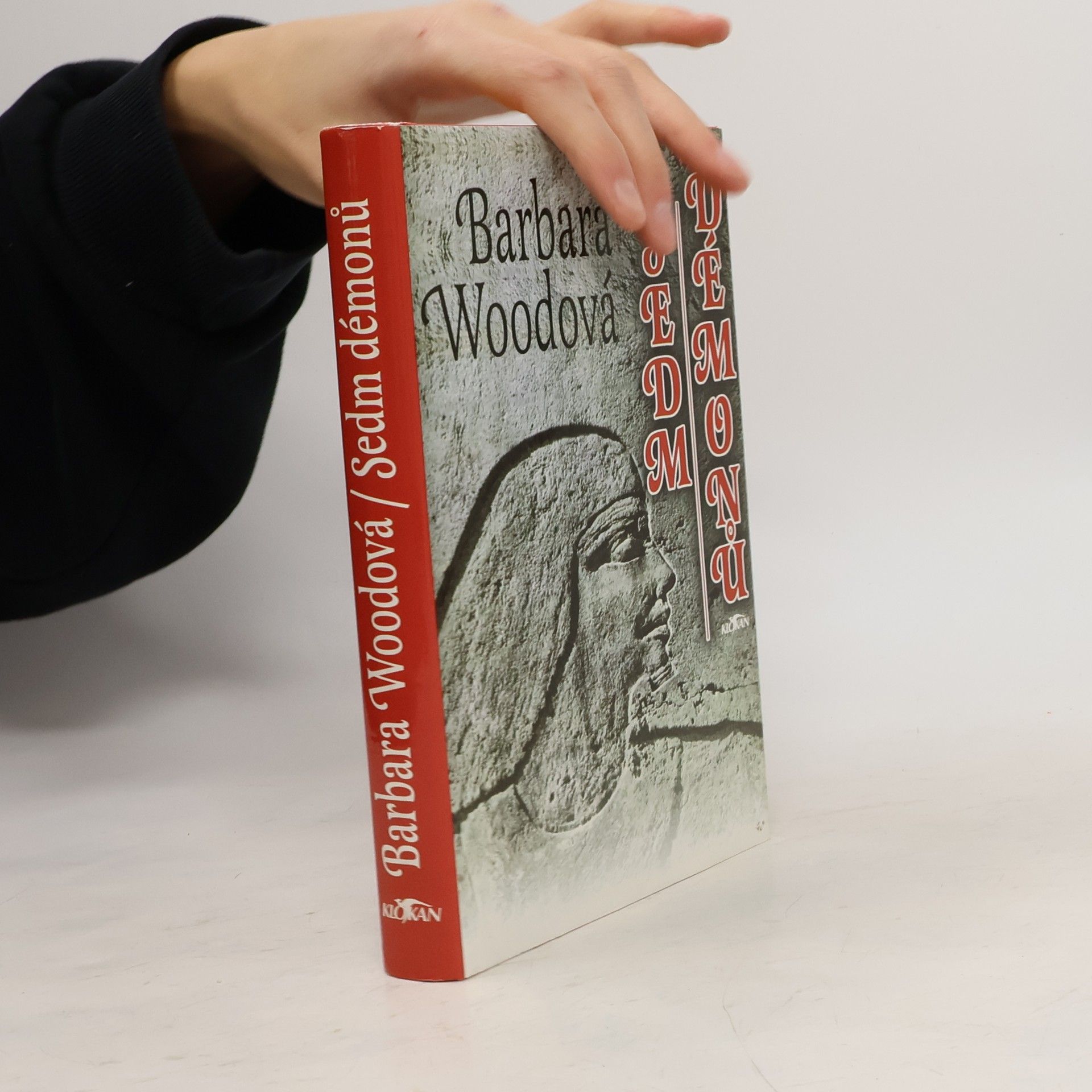 Barbara Wood Sedm démonů