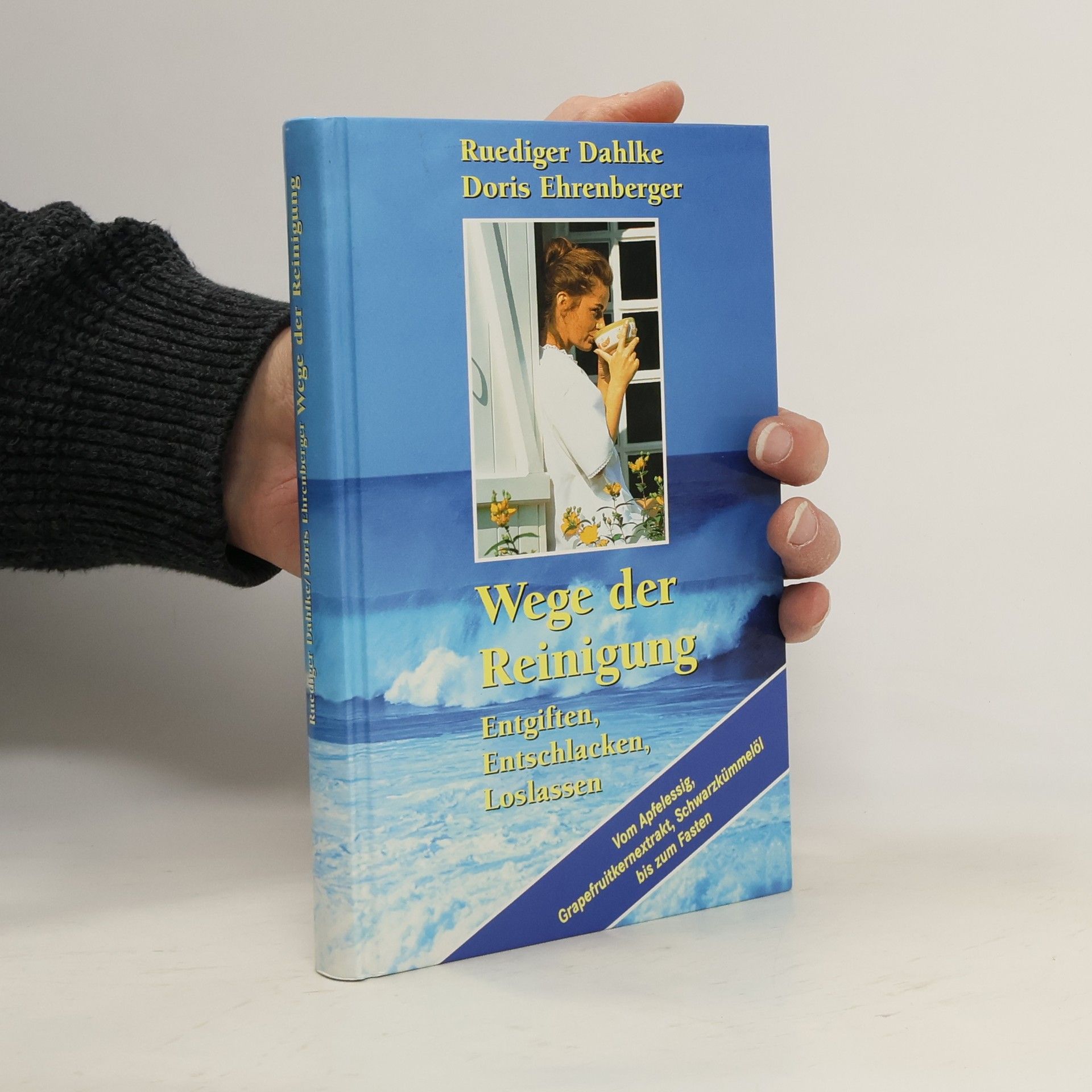Ruediger Dahlke Wege der Reinigung