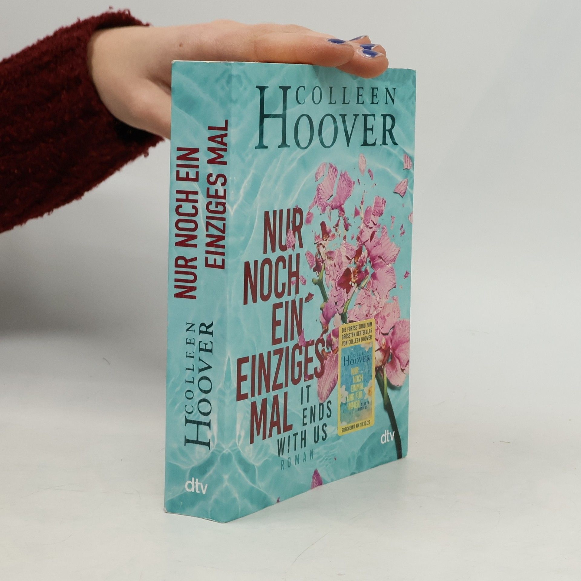 Colleen Hoover Nur noch ein einziges Mal